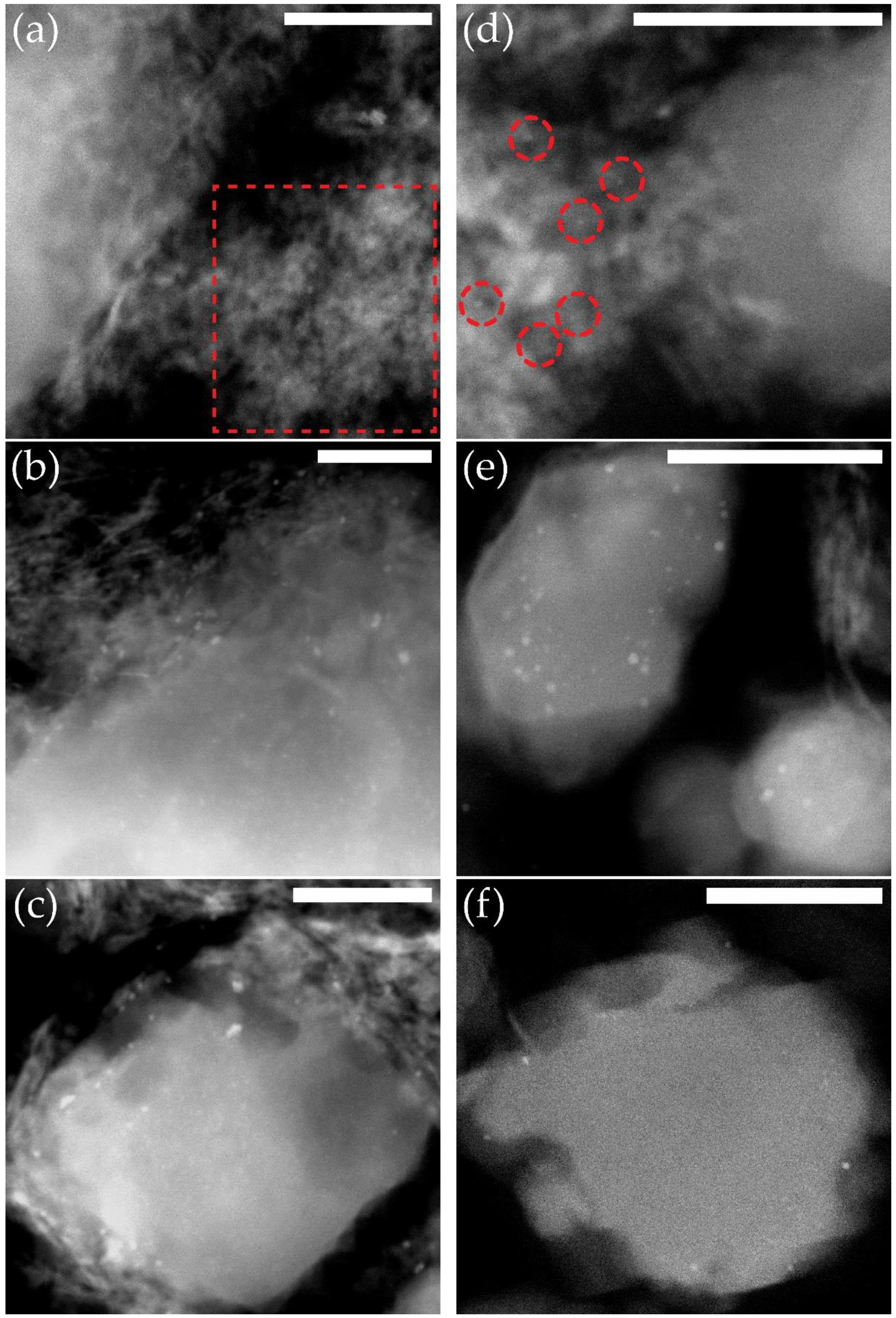 Chemistry 05 00026 g002