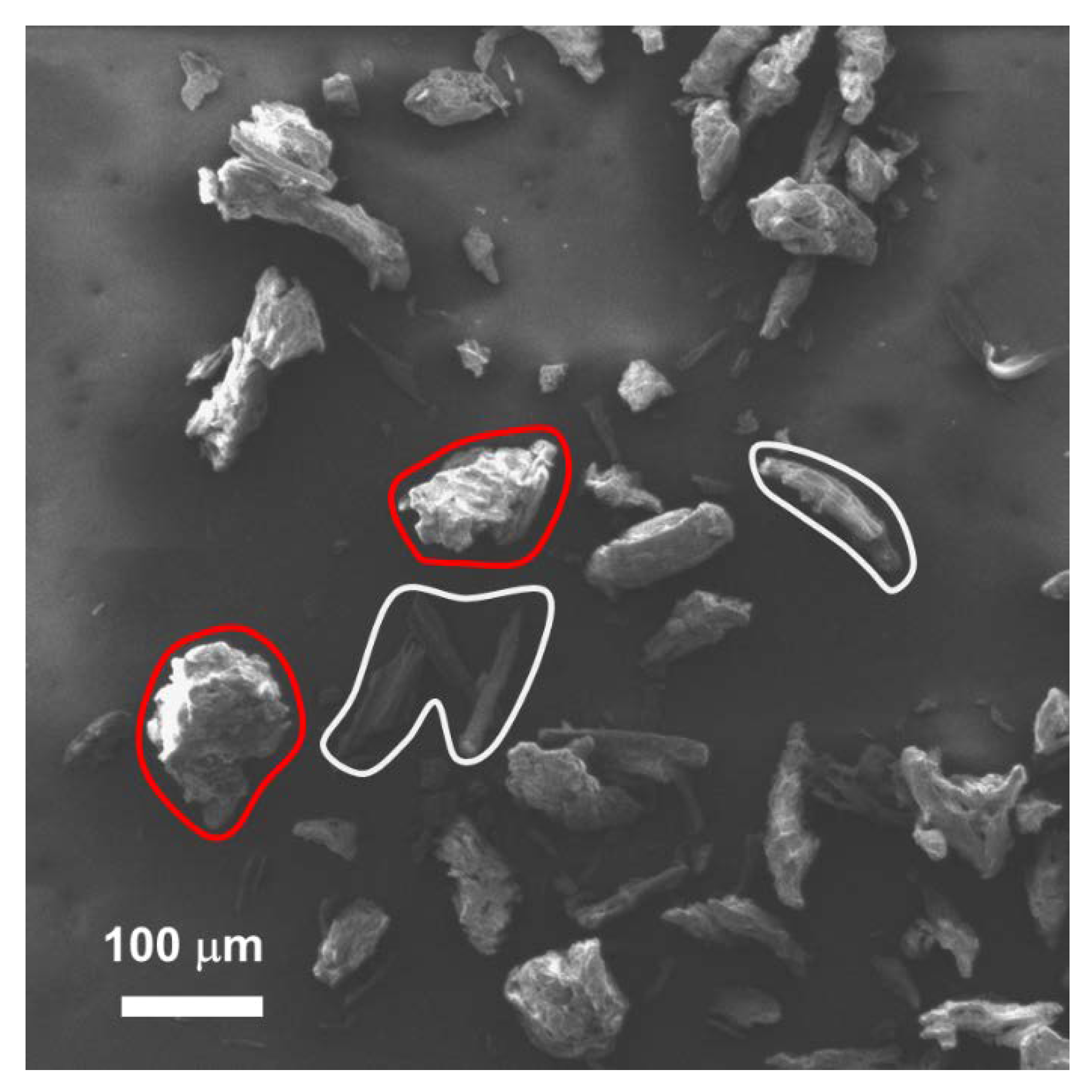 Chemistry 05 00028 g002