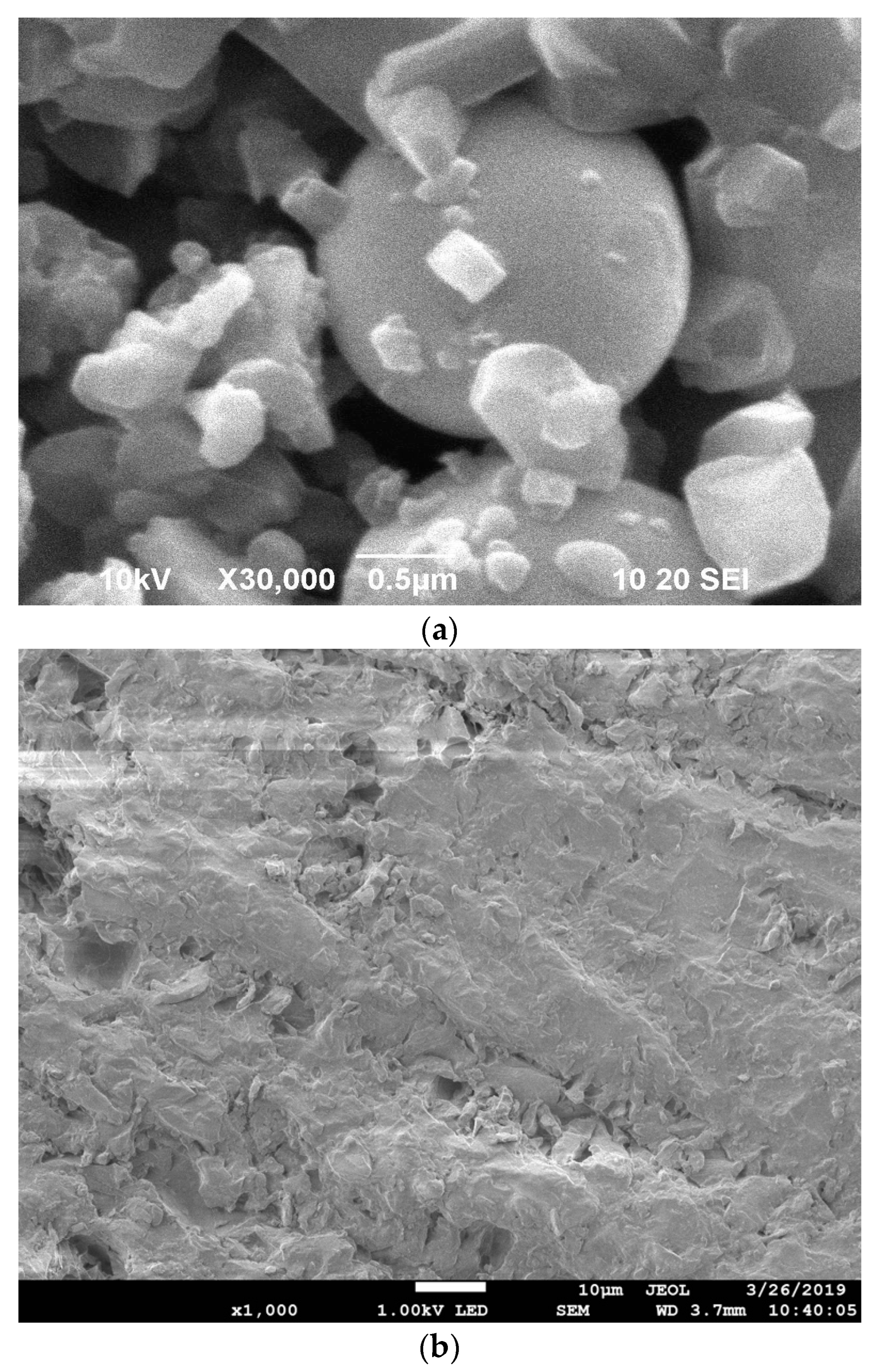 Chemistry 05 00040 g003