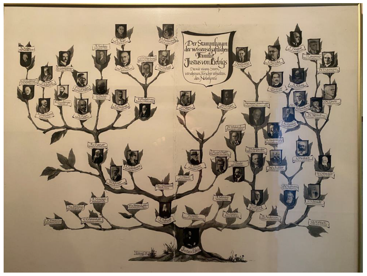 Chemistry 05 00071 g004