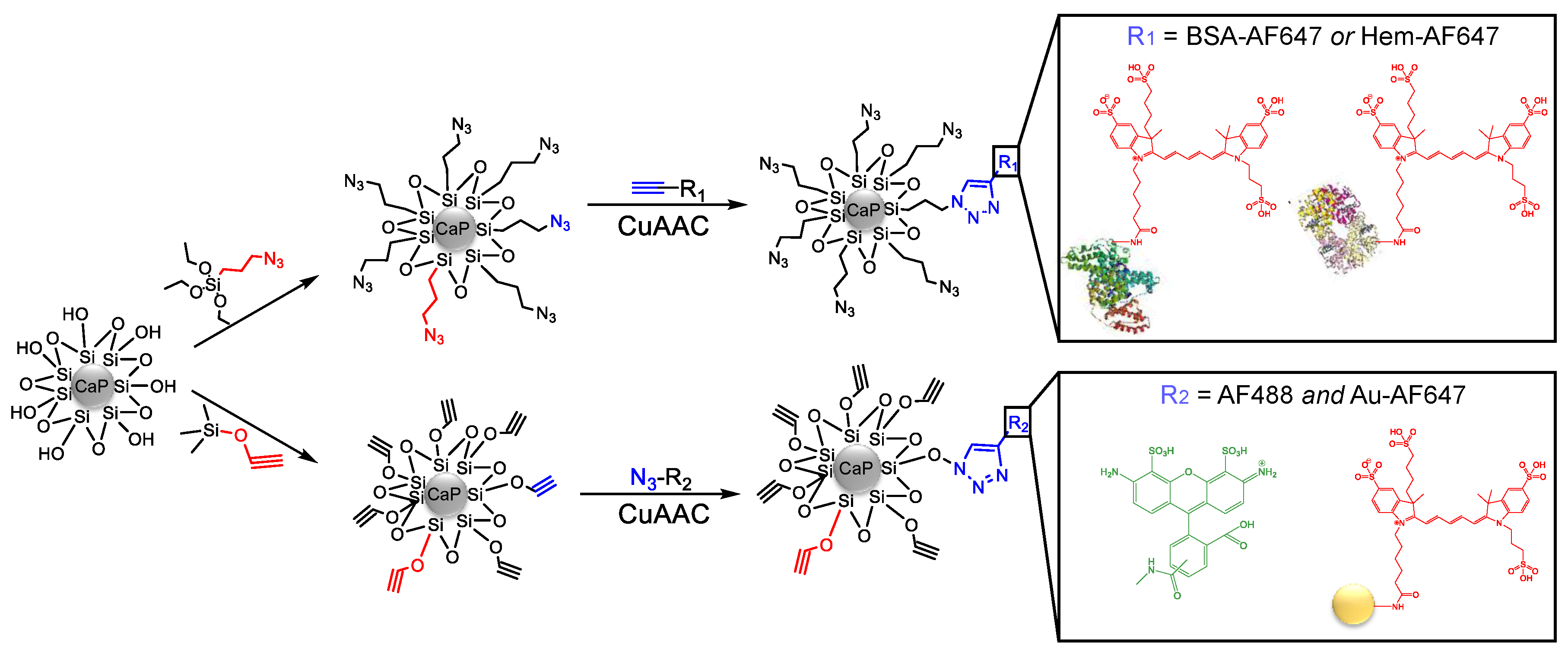 Chemistry 05 00072 g001 Chemistry 05 00072 g001