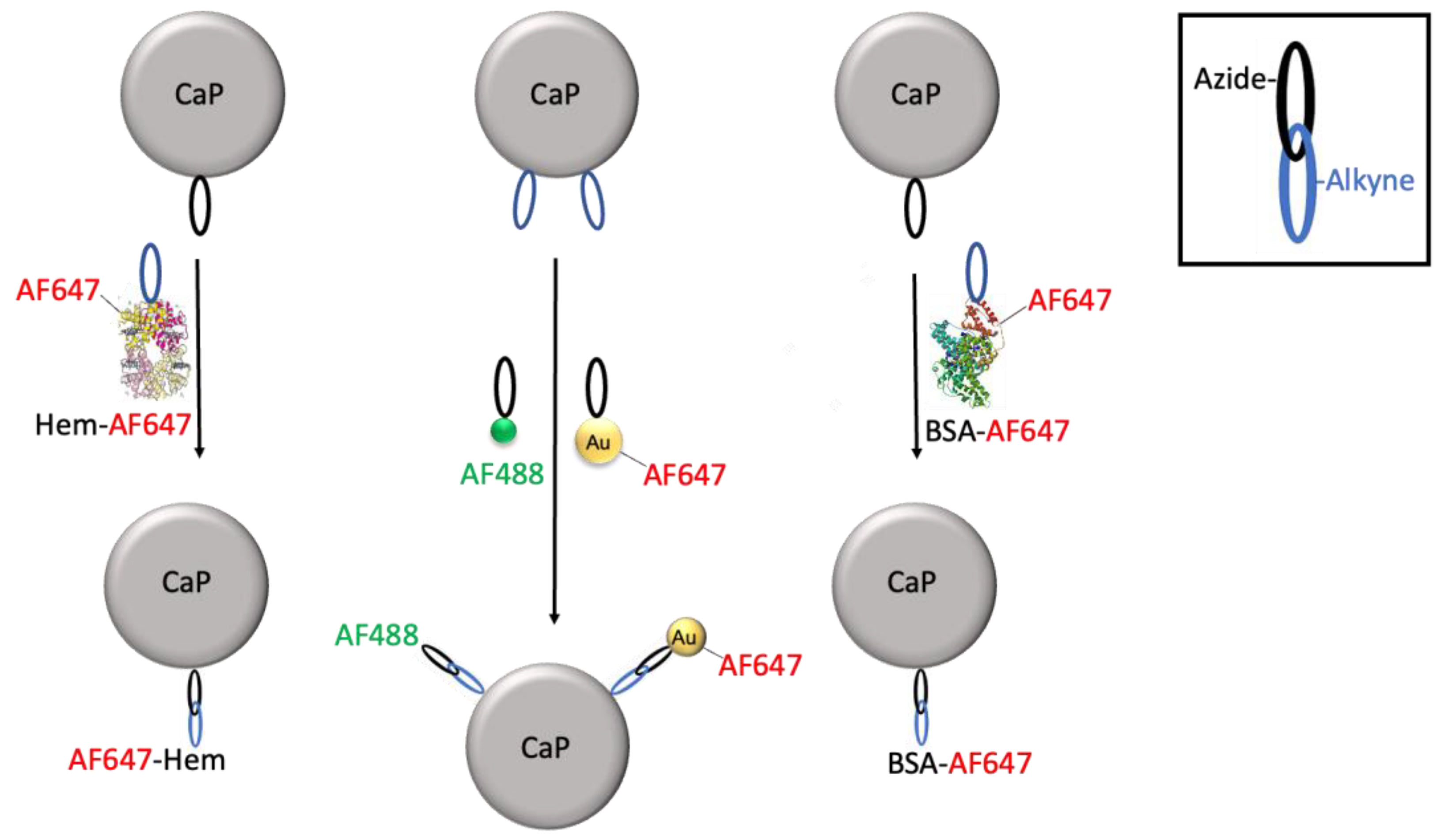 Chemistry 05 00072 g002 Chemistry 05 00072 g002