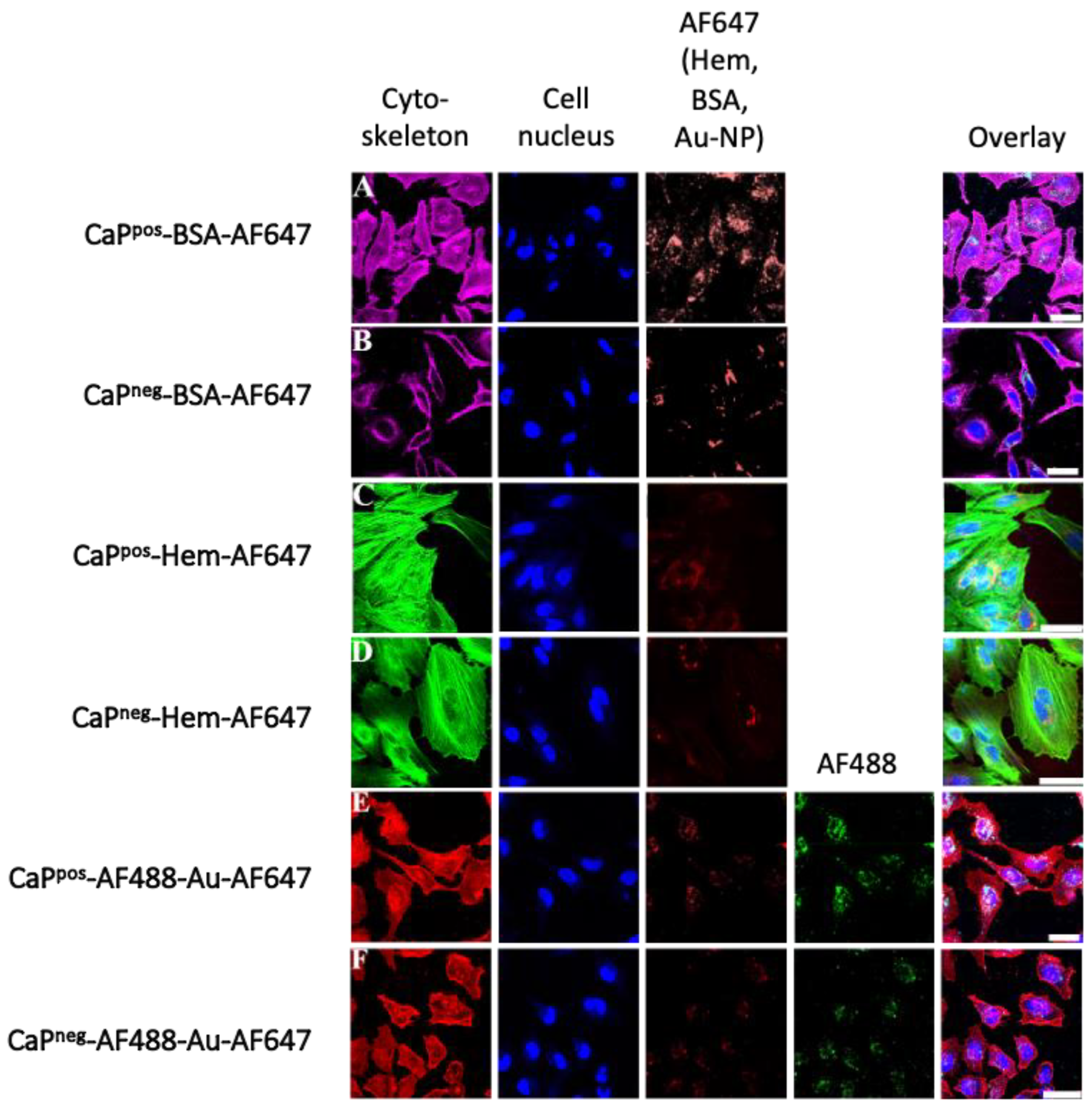 Chemistry 05 00072 g009 Chemistry 05 00072 g009