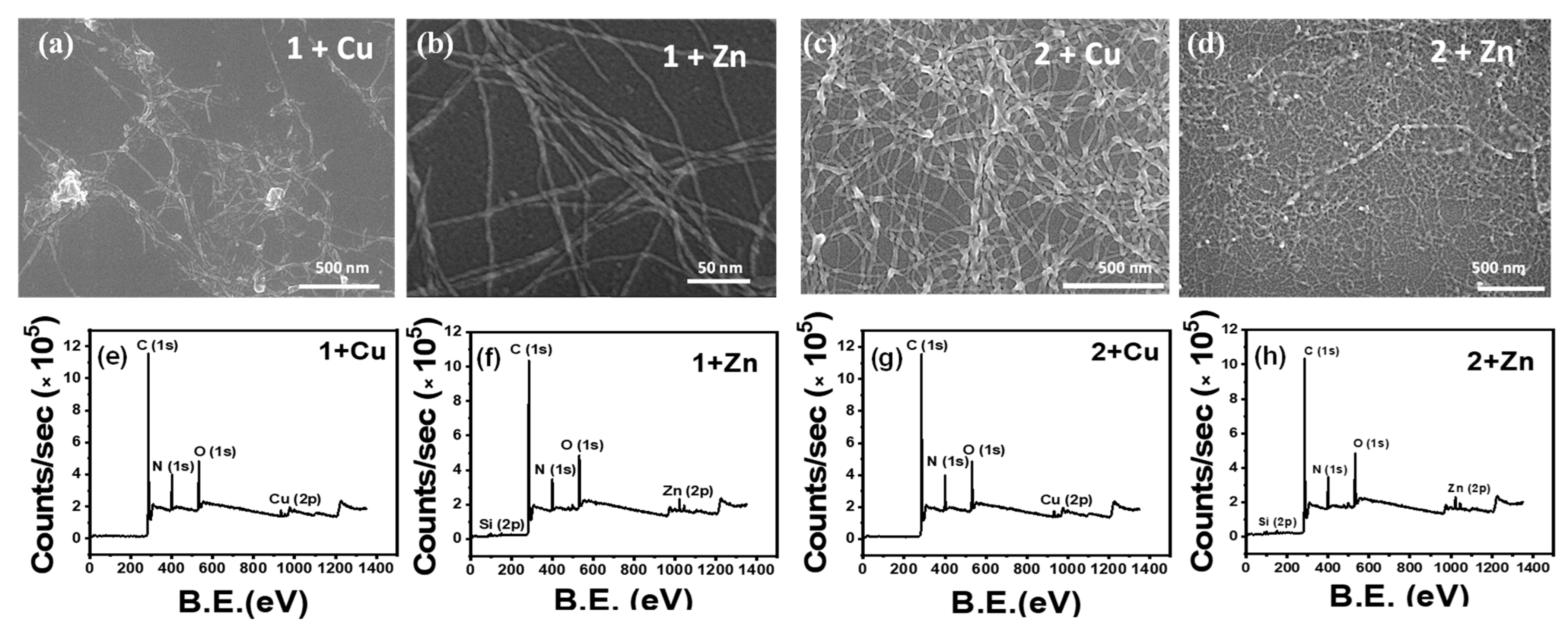 Chemistry 05 00080 g002