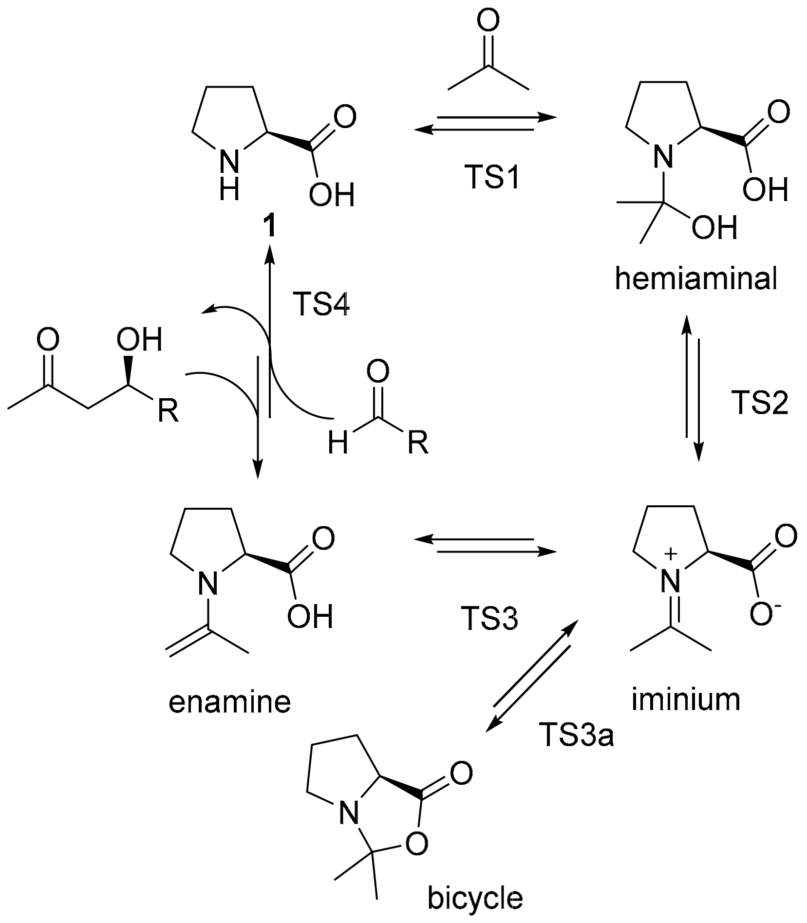 Chemistry 05 00081 sch001