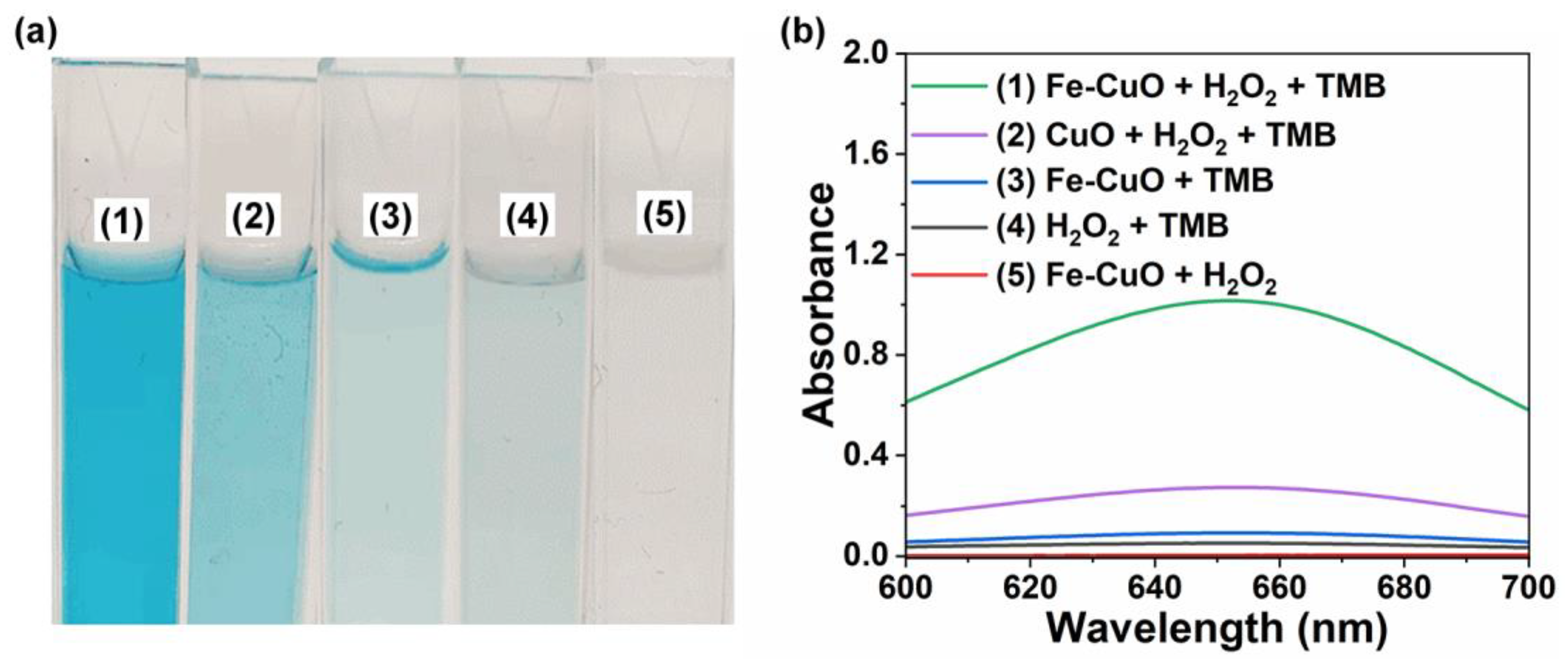 Chemistry 05 00088 g004