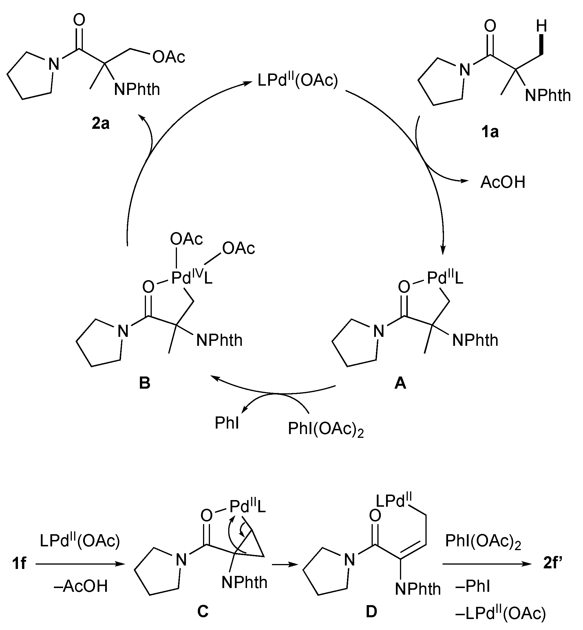 Chemistry 05 00093 sch005