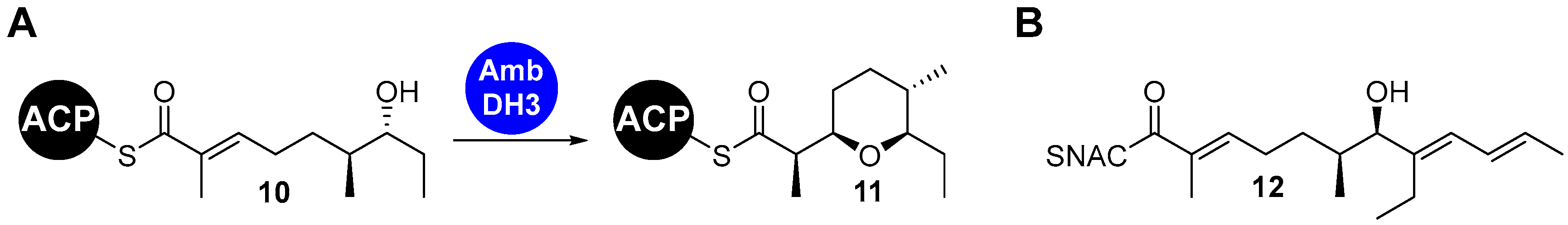 Chemistry 05 00096 g003 Chemistry 05 00096 g003