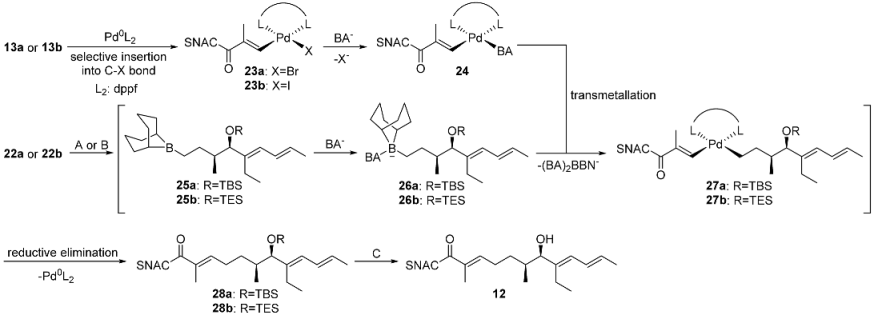 Chemistry 05 00096 i004