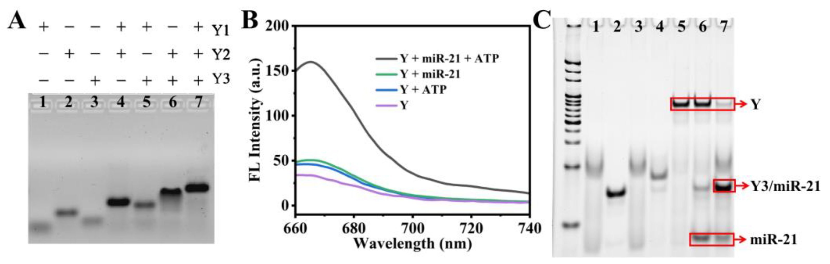Chemistry 05 00112 g001