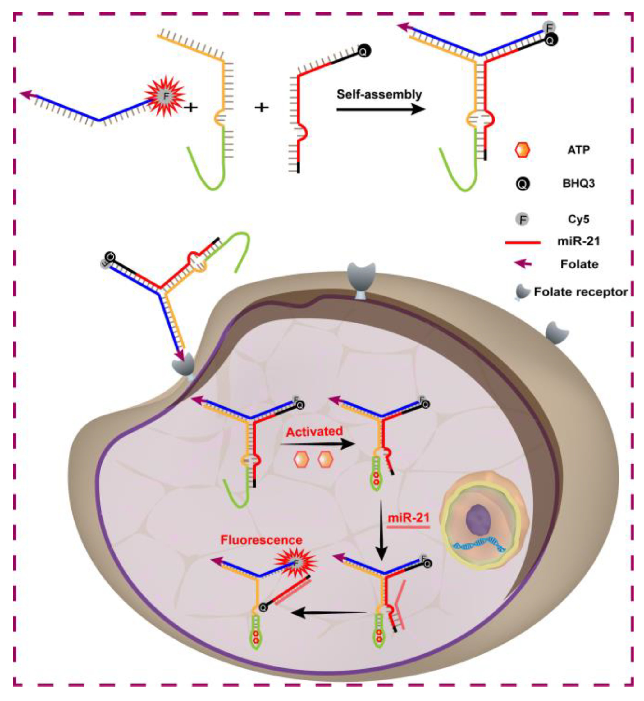 Chemistry 05 00112 sch001