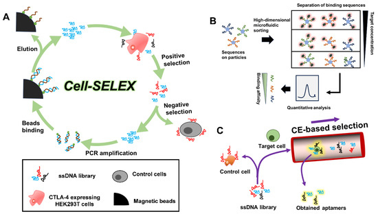 Chemistry 05 00114 g001