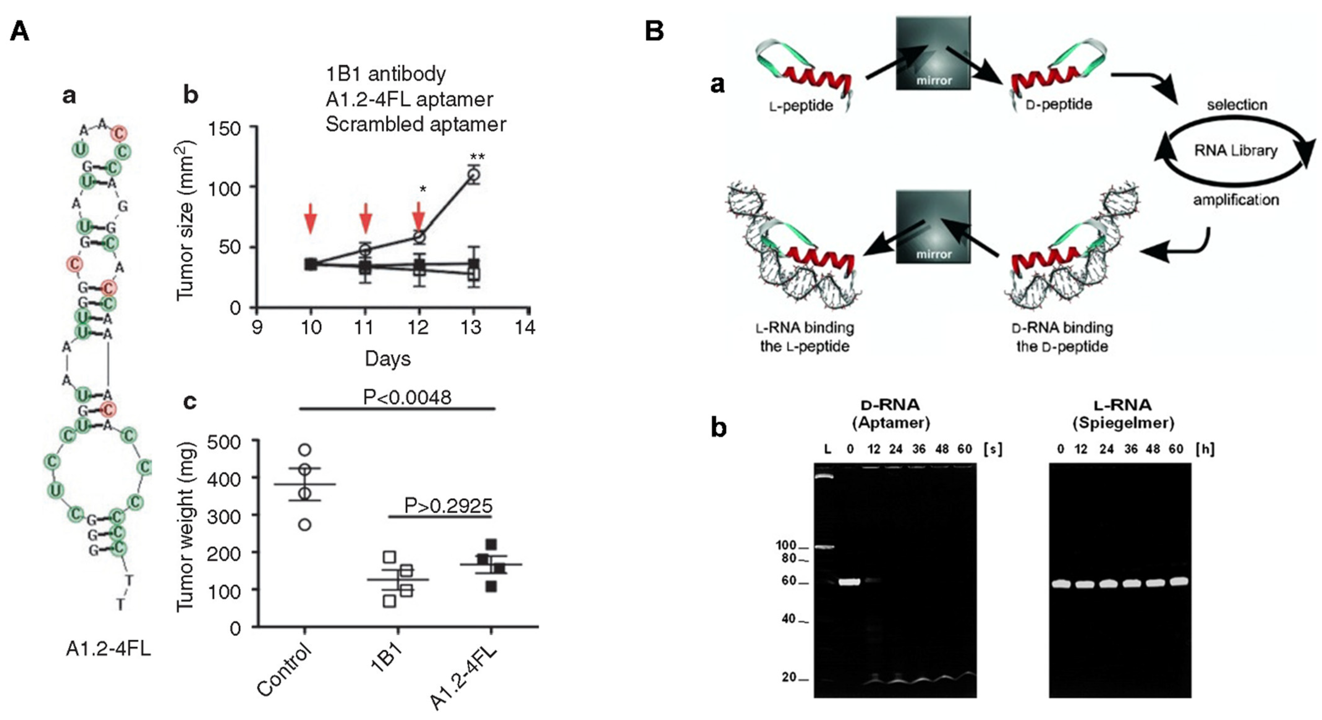 Chemistry 05 00114 g003