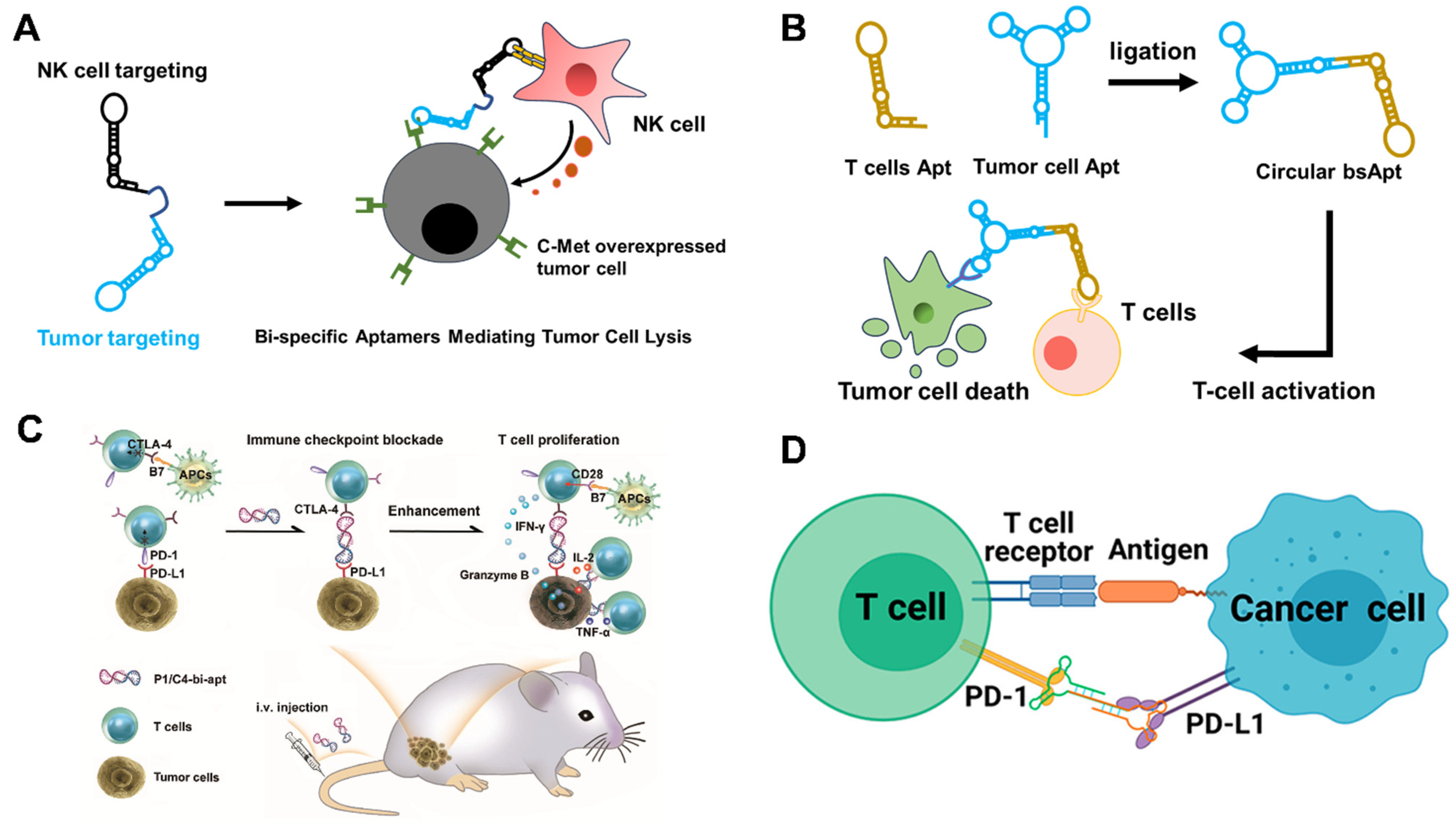 Chemistry 05 00114 g004