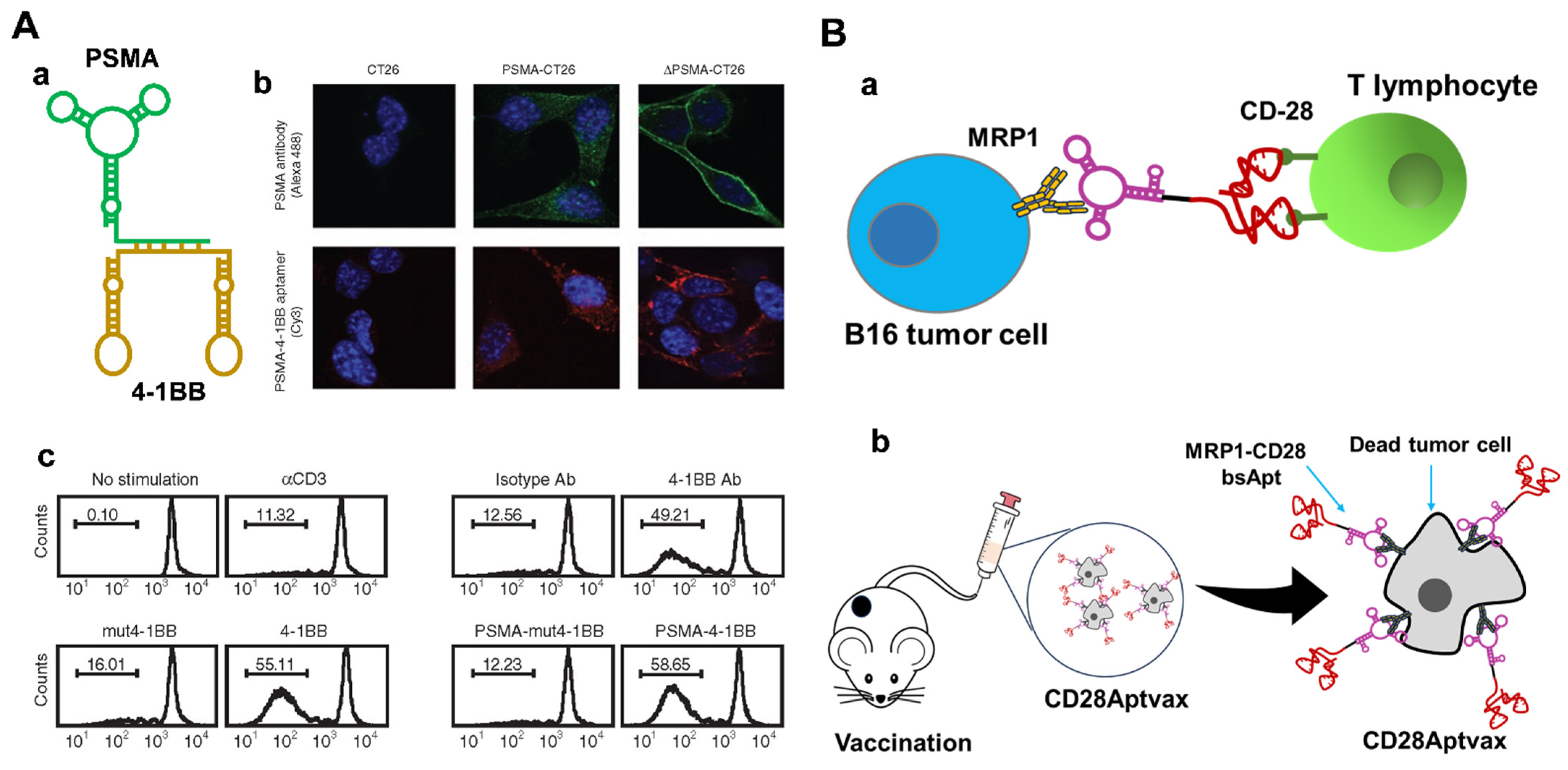 Chemistry 05 00114 g005