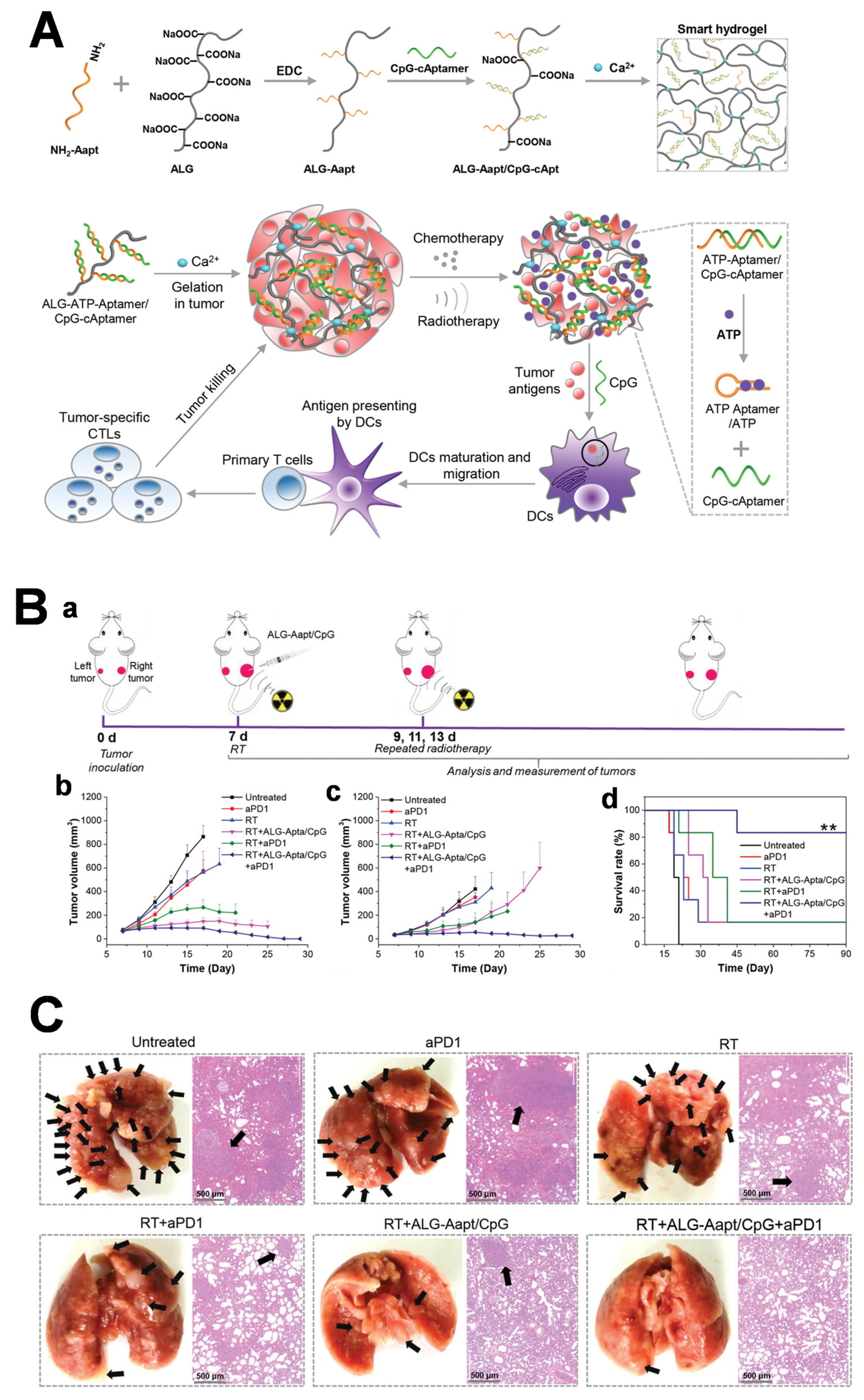 Chemistry 05 00114 g009