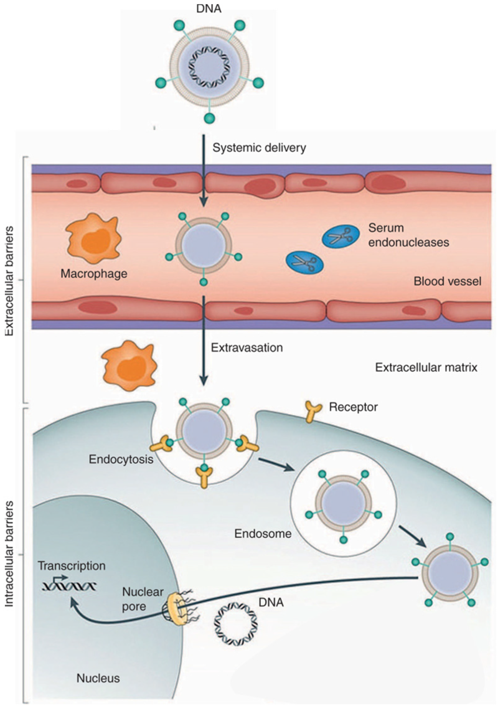 Chemistry 05 00116 g001