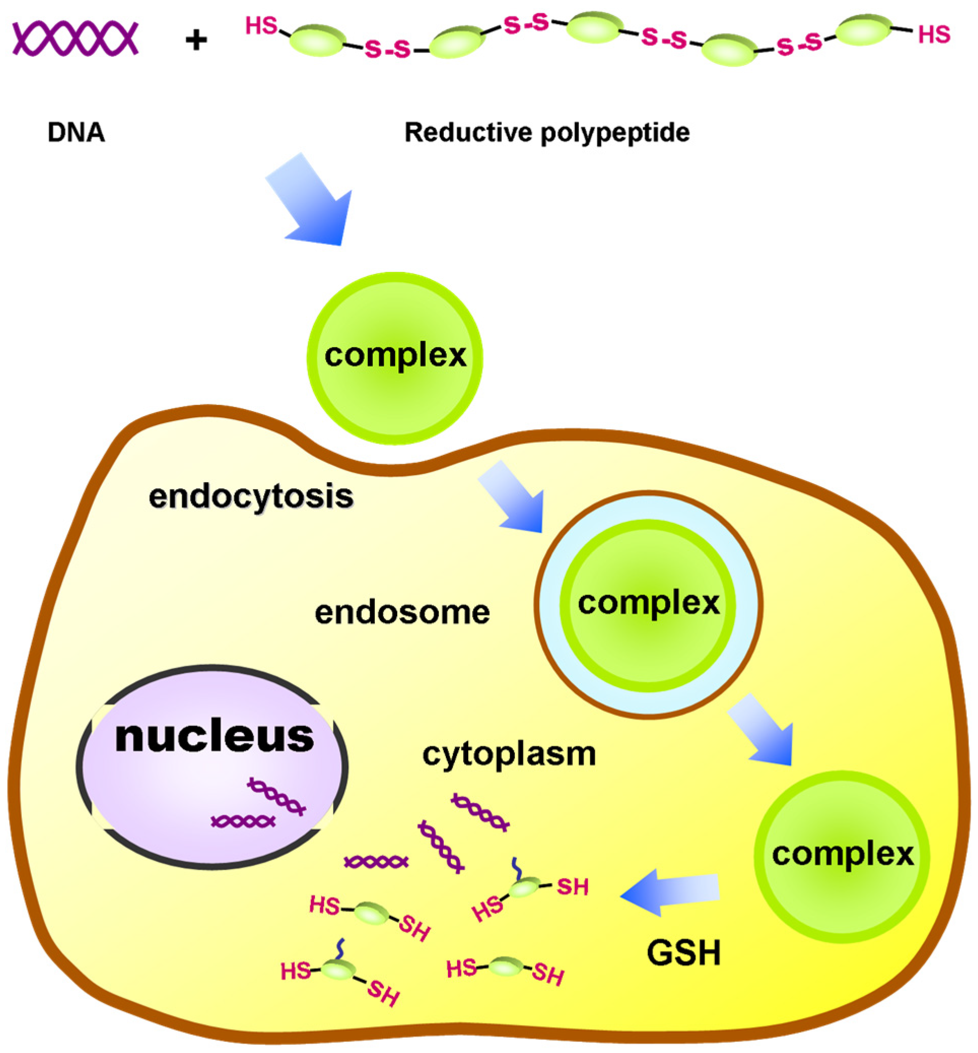 Chemistry 05 00116 g002