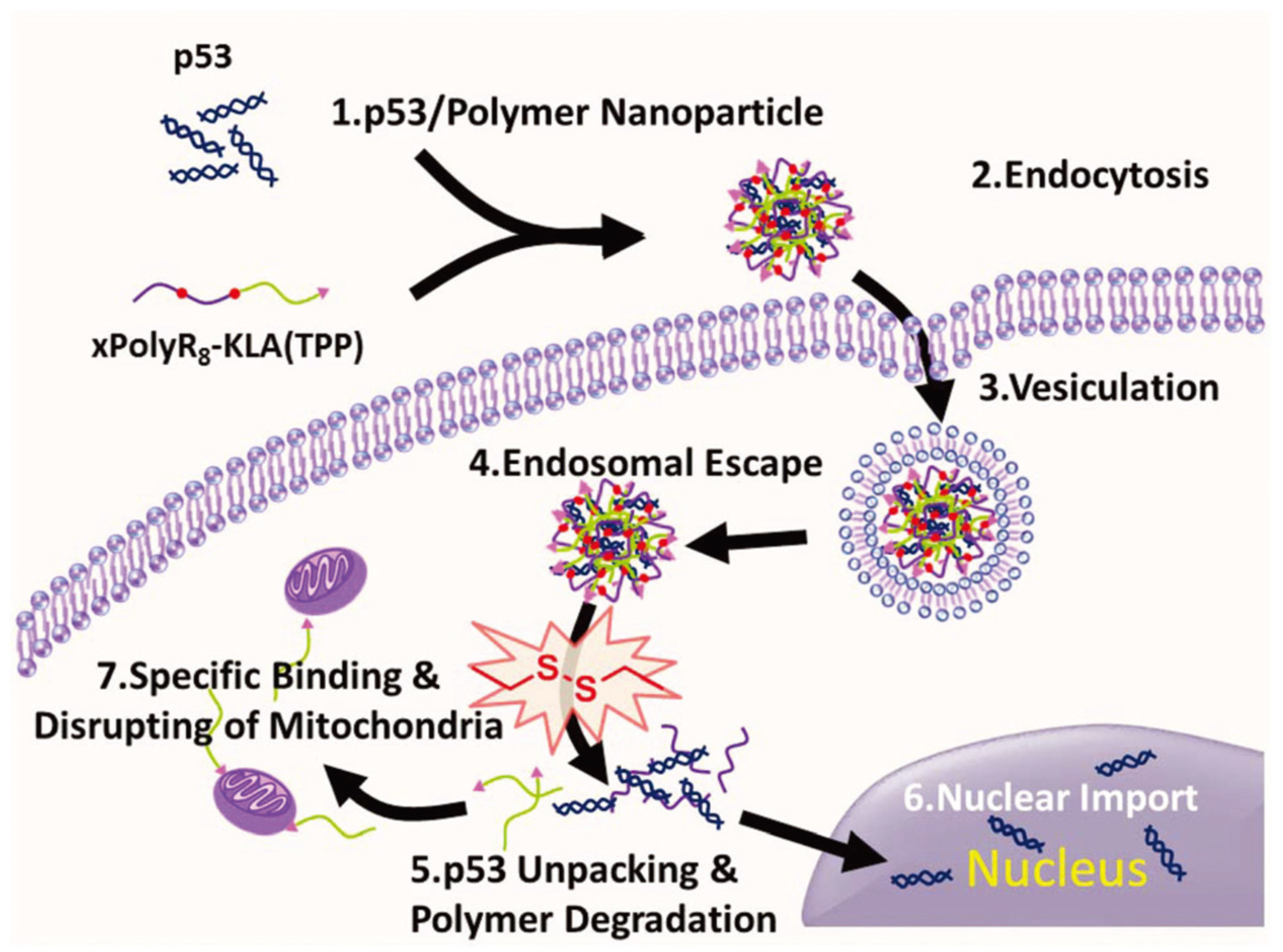Chemistry 05 00116 g005
