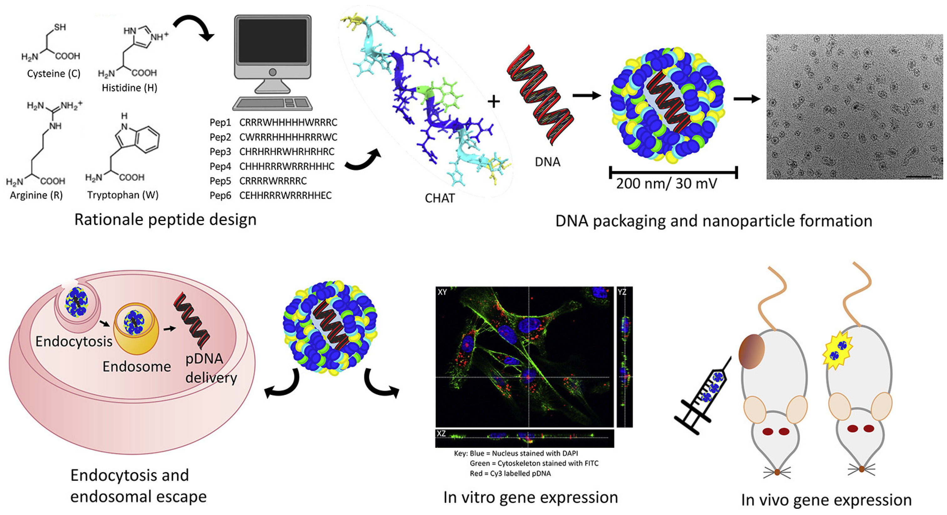 Chemistry 05 00116 g006