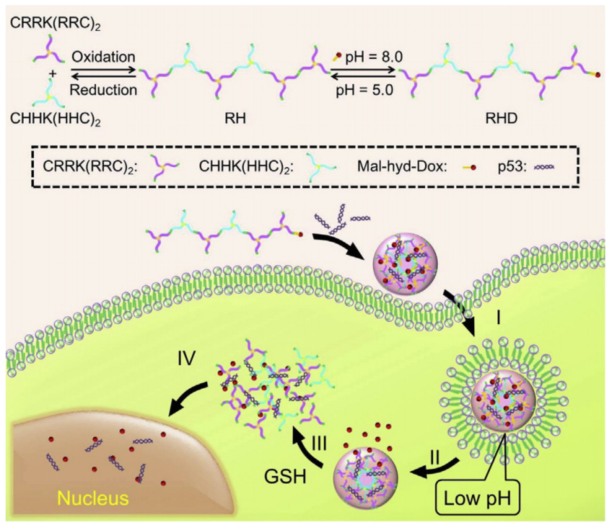Chemistry 05 00116 g009