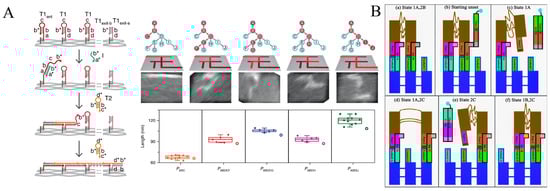 Chemistry 05 00122 g001