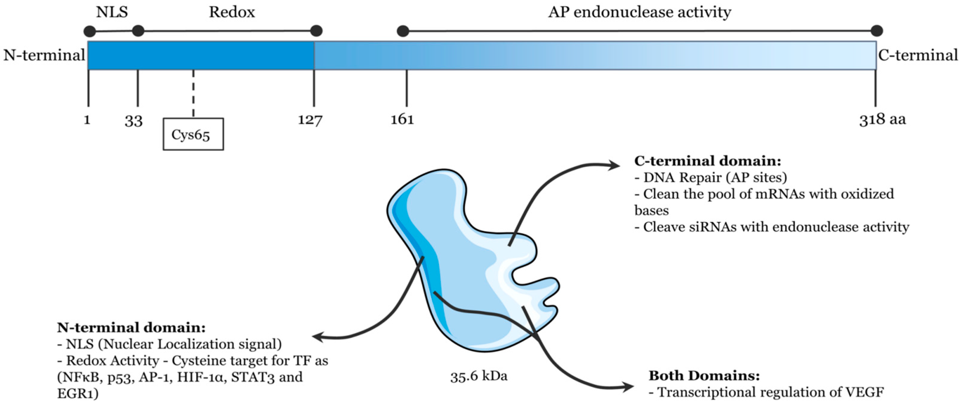 Chemistry 05 00124 g001