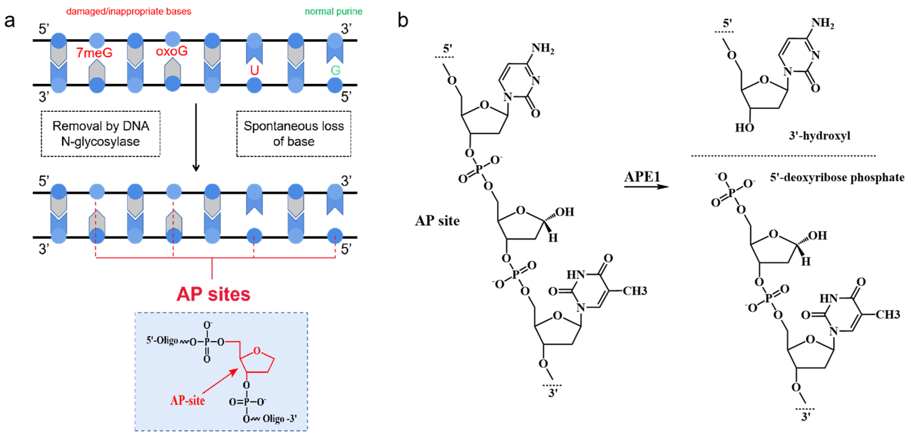 Chemistry 05 00124 g003