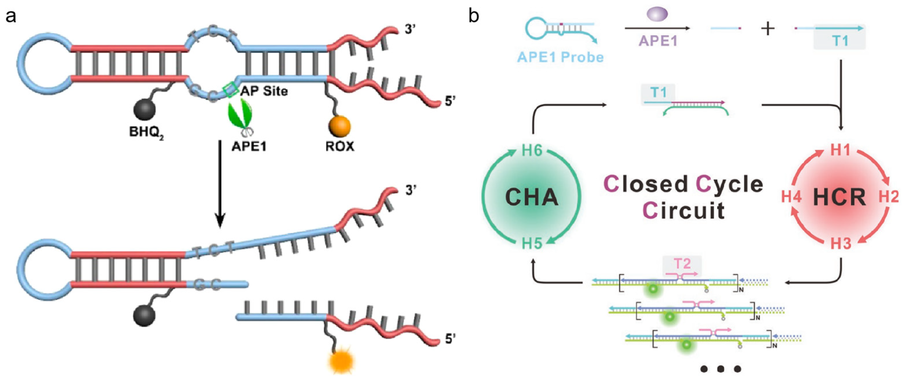 Chemistry 05 00124 g004