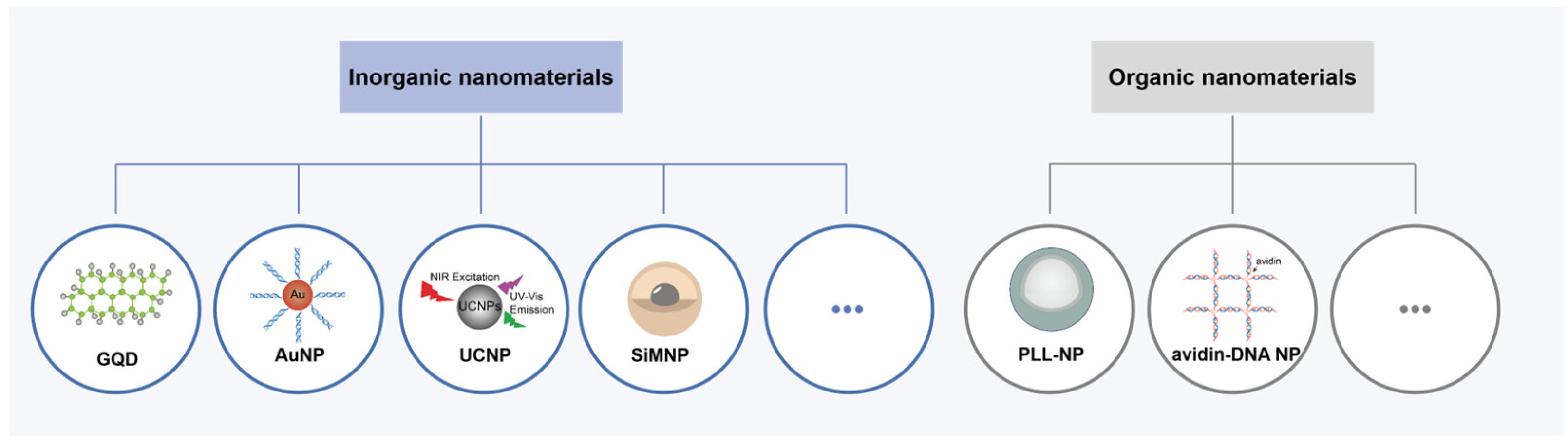Chemistry 05 00124 g005