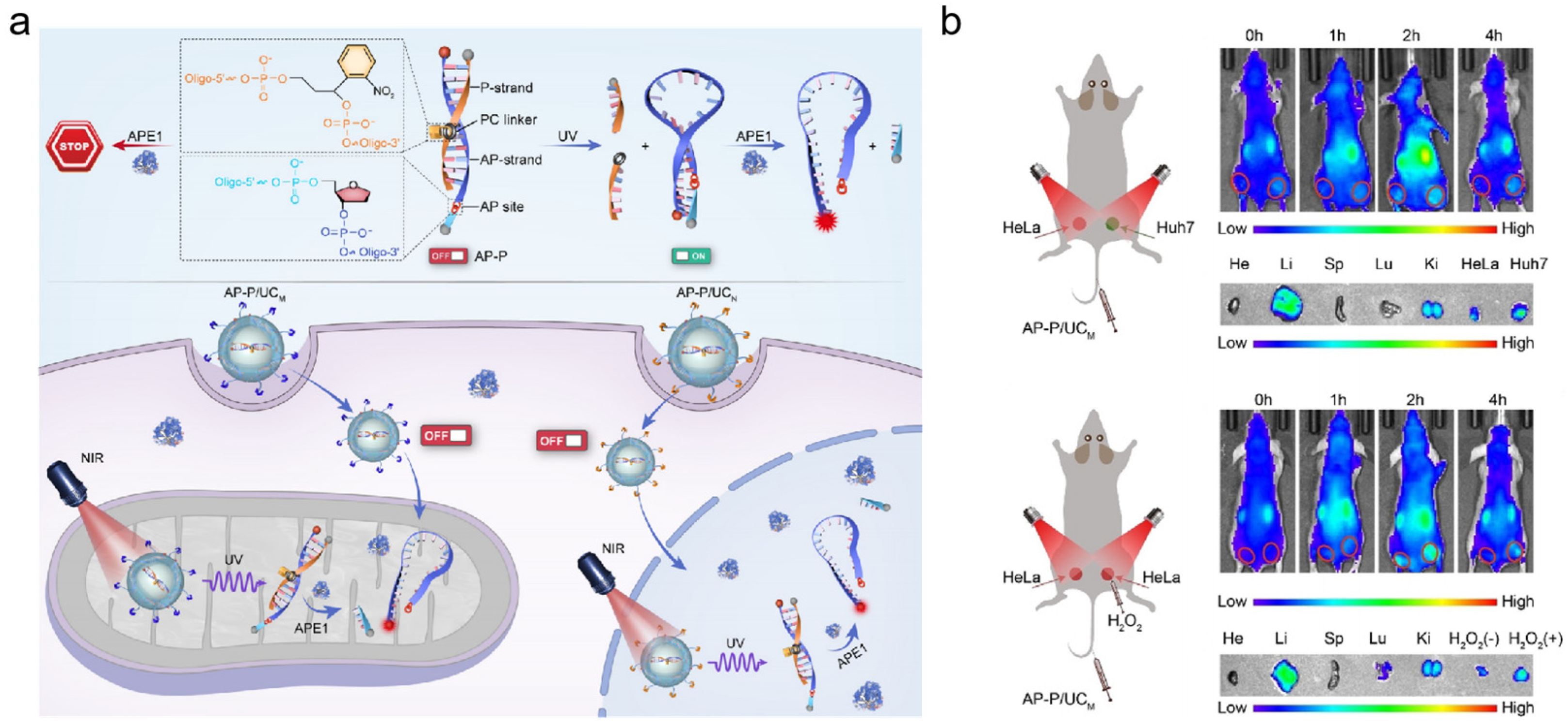 Chemistry 05 00124 g007