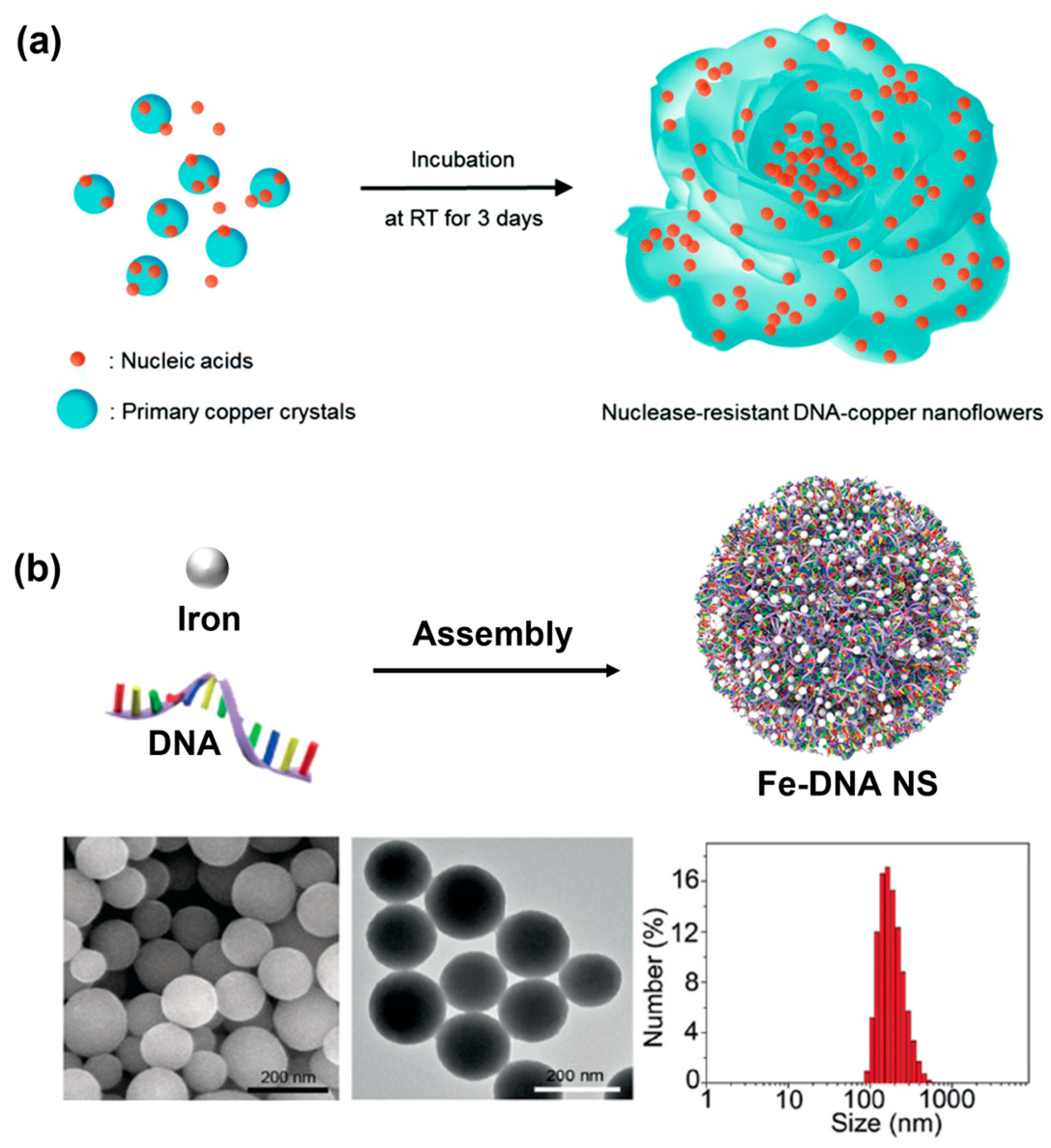 Chemistry 05 00129 g003