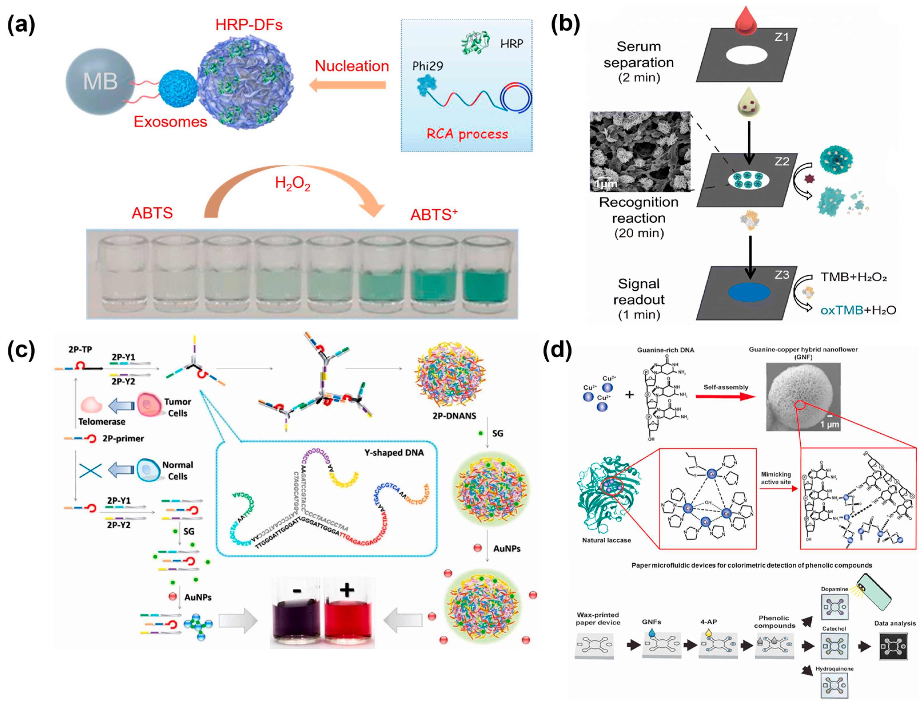 Chemistry 05 00129 g005