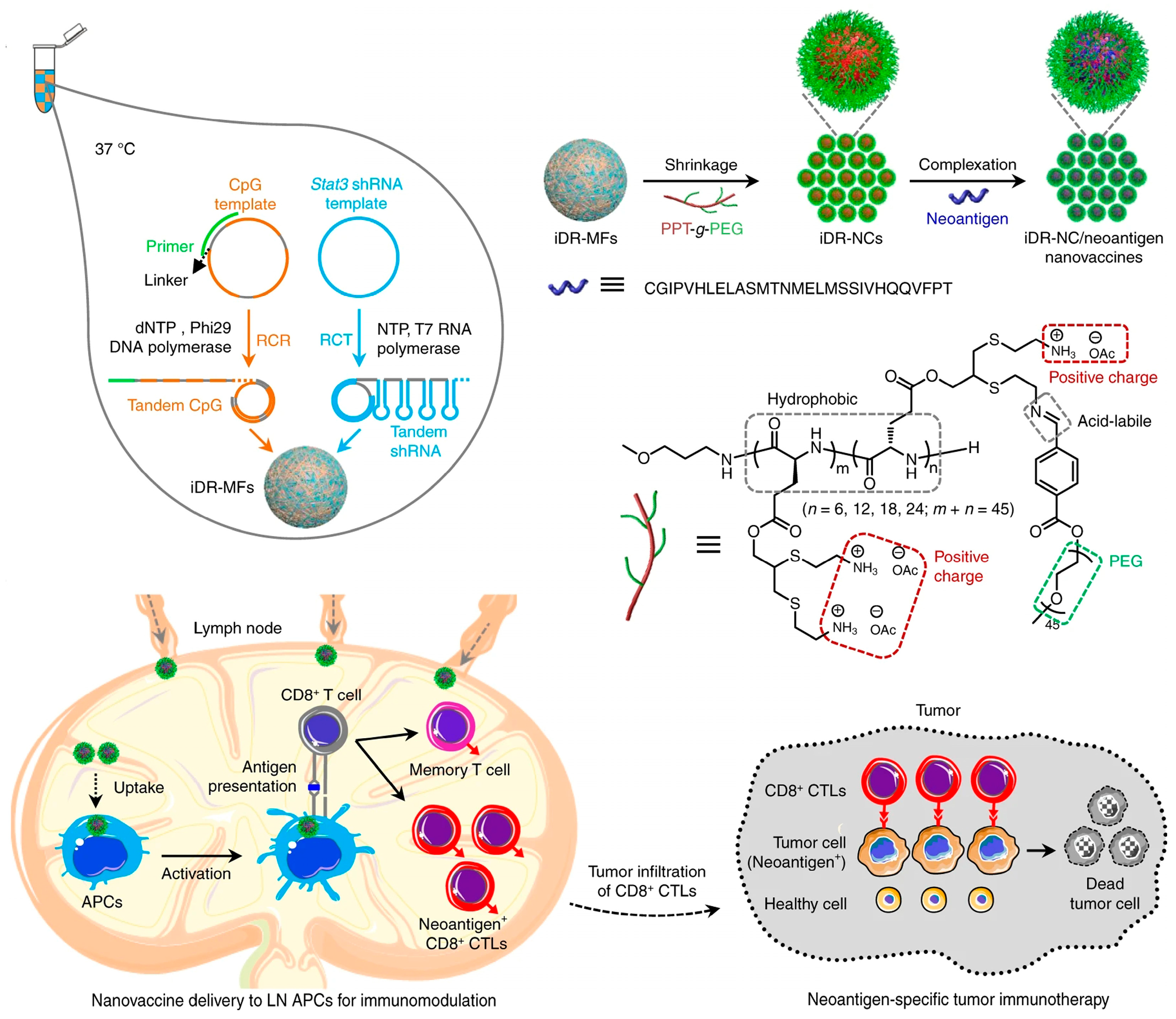 Chemistry 05 00129 g016