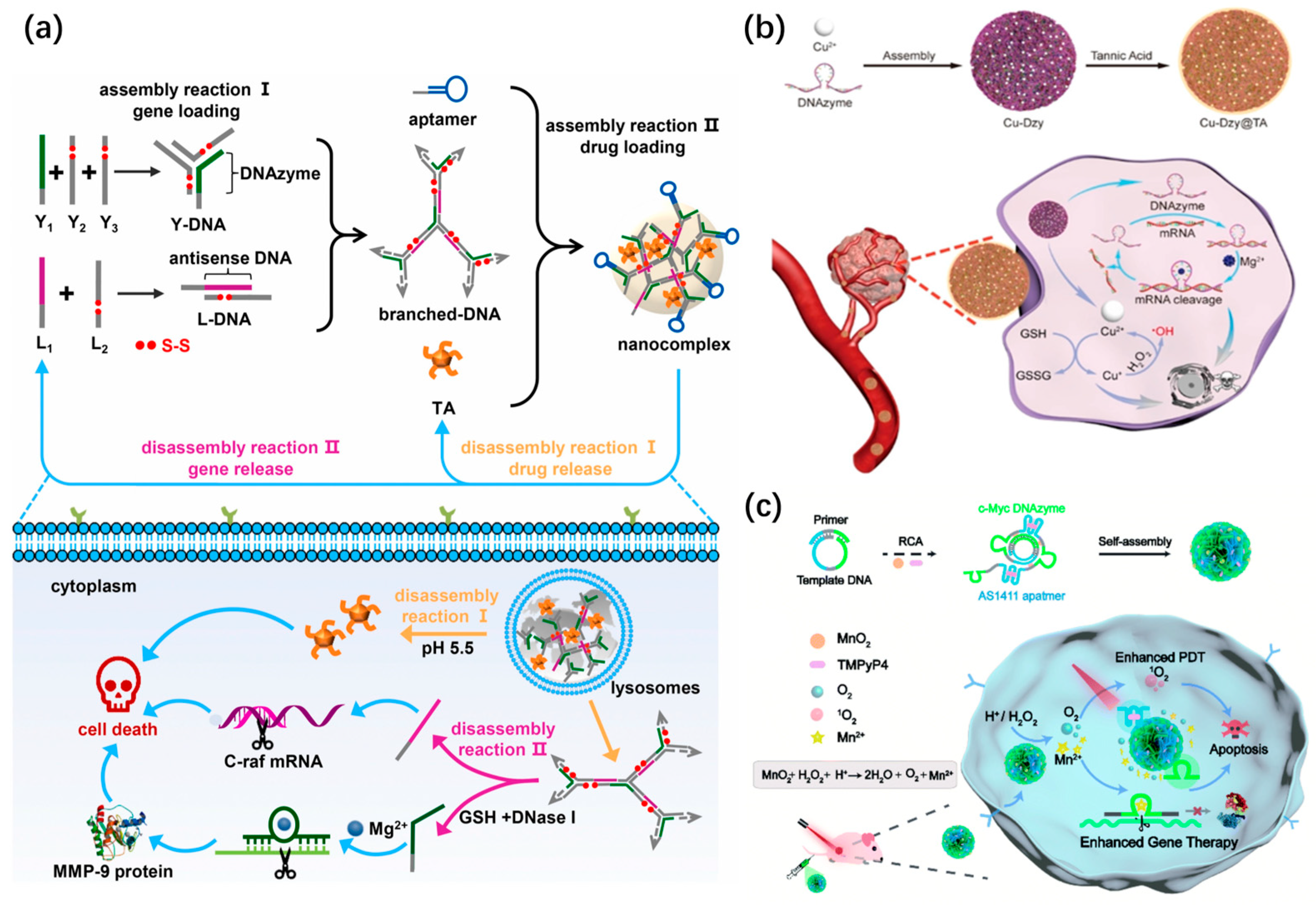 Chemistry 05 00129 g018