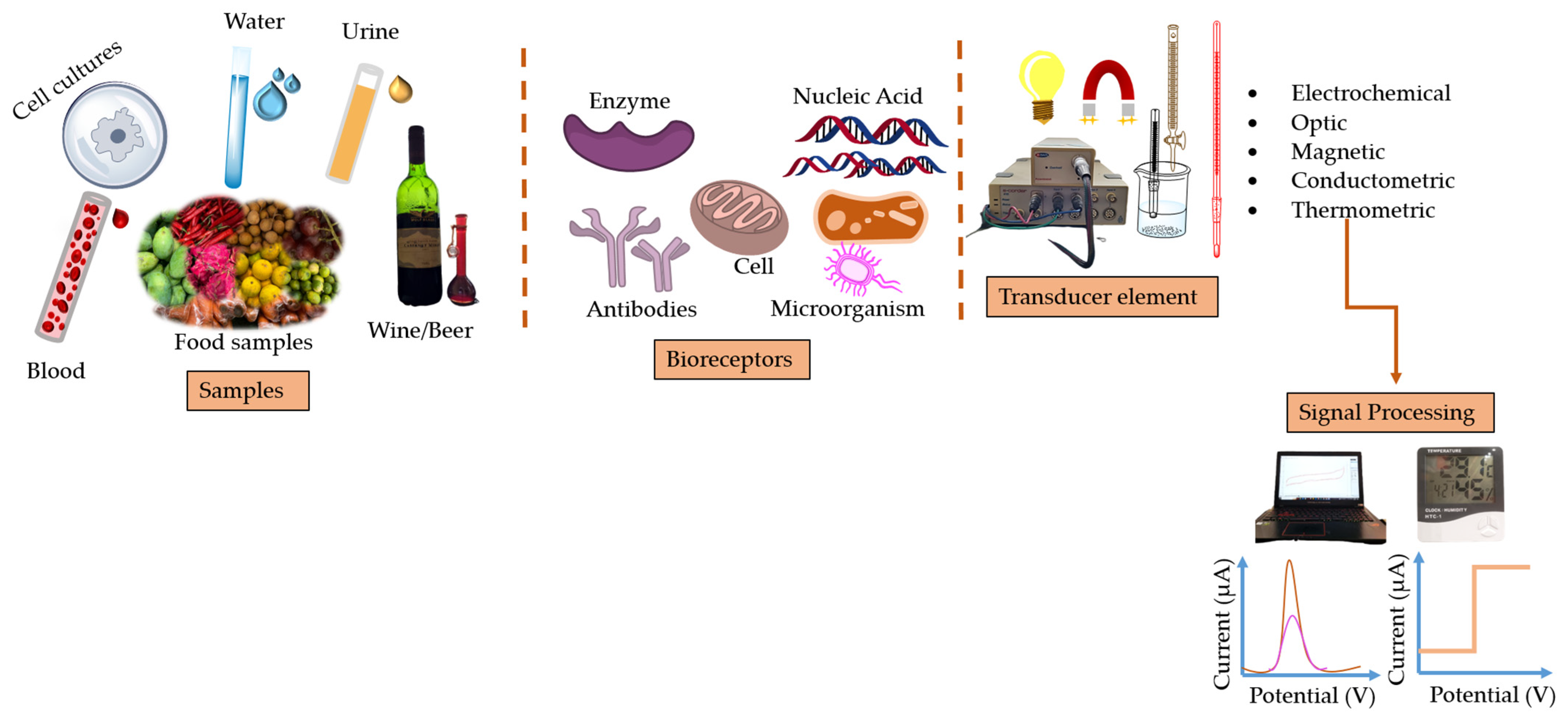 Chemistry 05 00131 g002