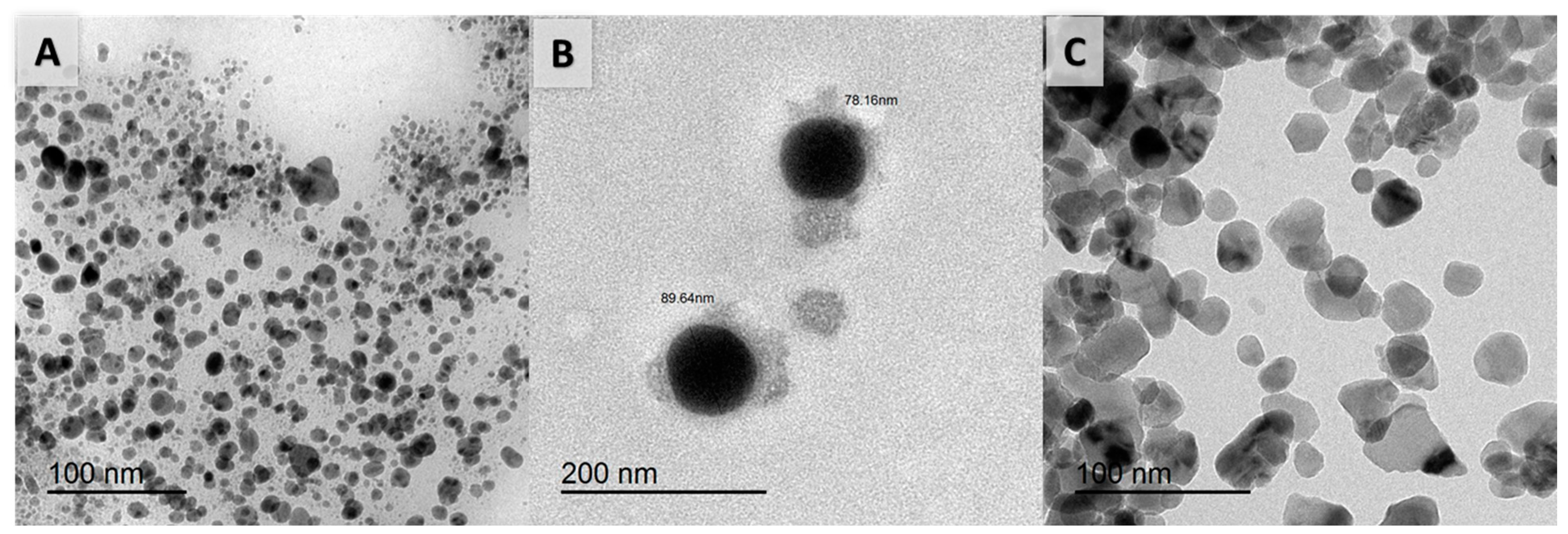 Chemistry 05 00141 g002