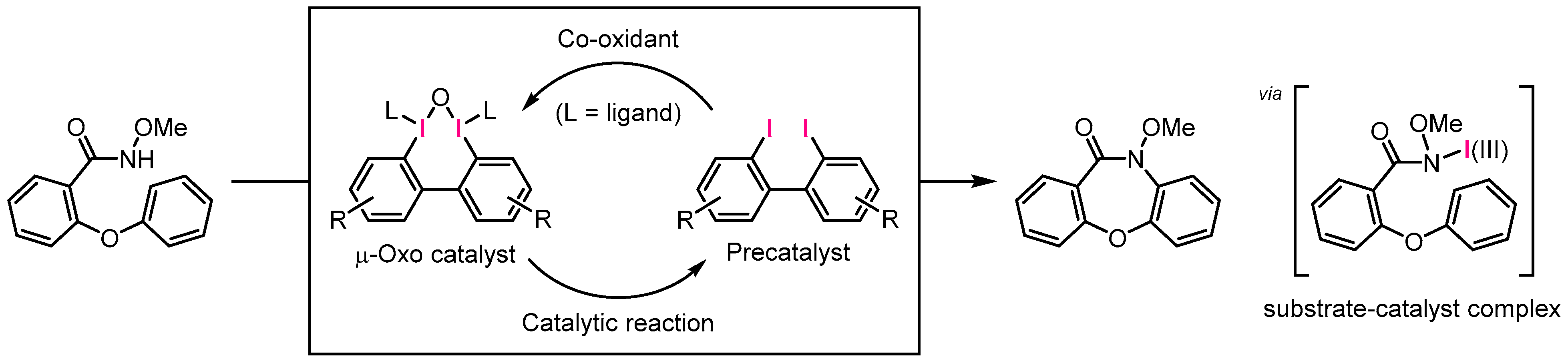Chemistry 05 00145 sch003
