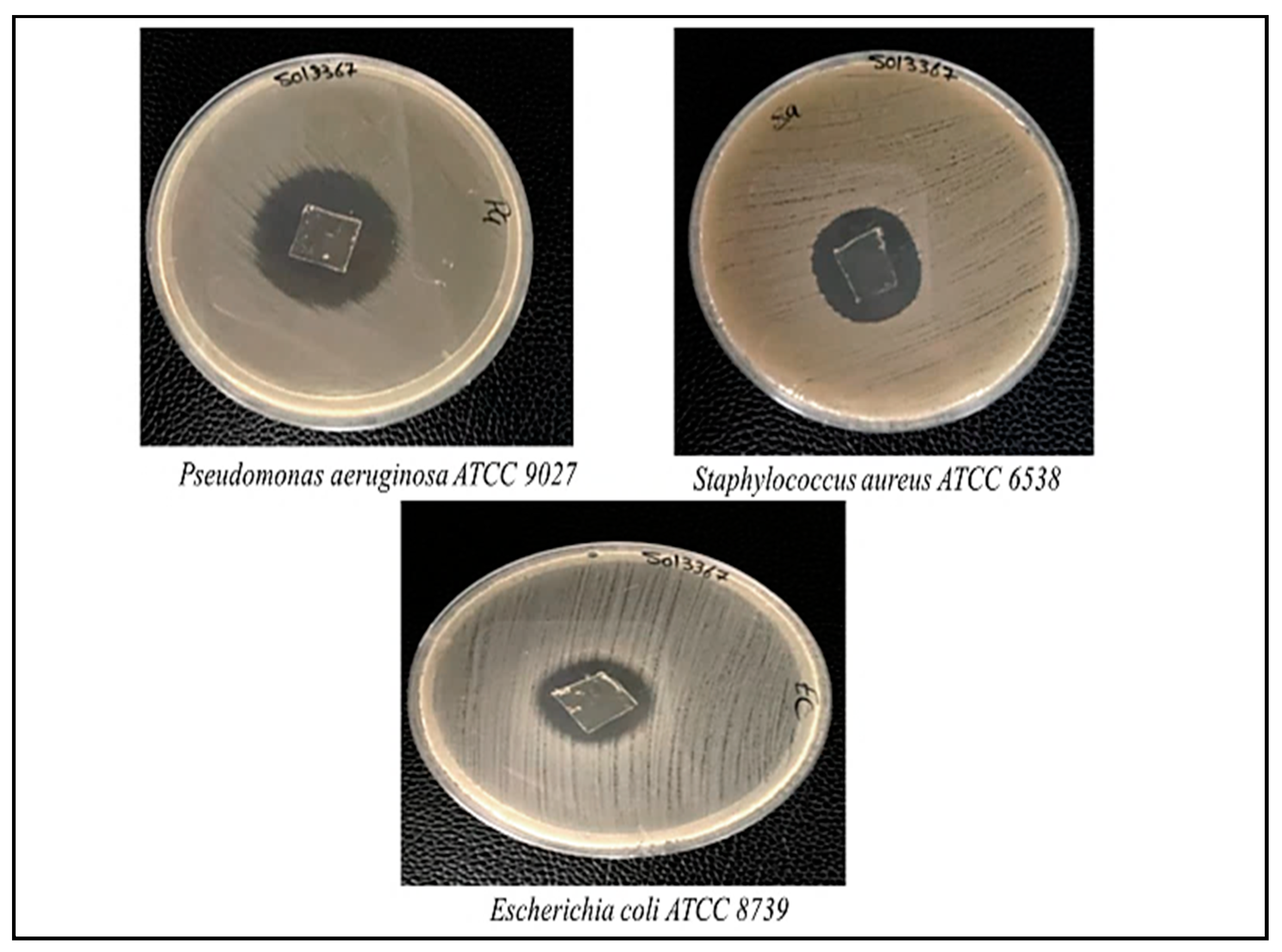 Chemistry 05 00152 g007