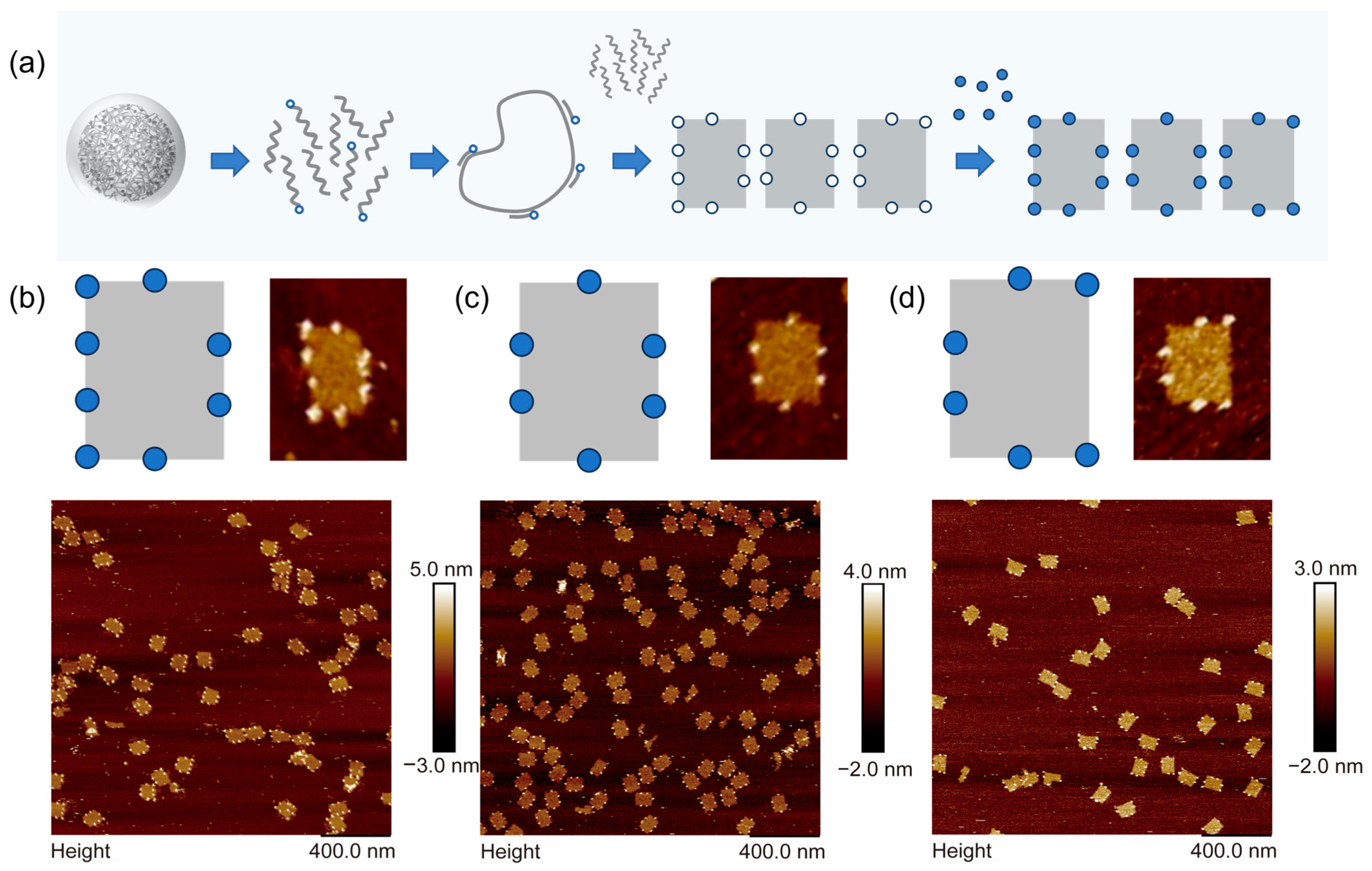 Chemistry 05 00159 g004