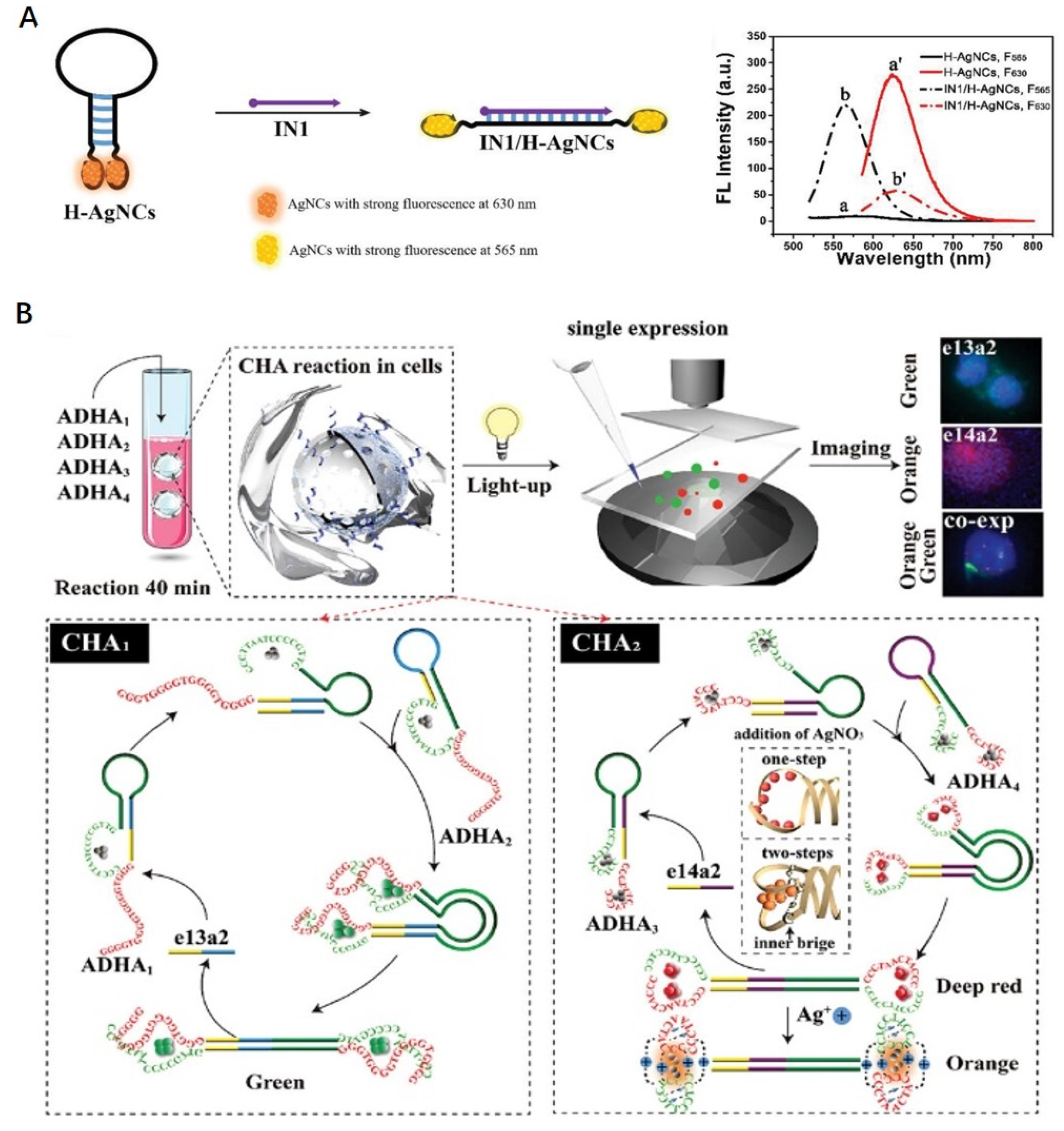 Chemistry 05 00160 g005
