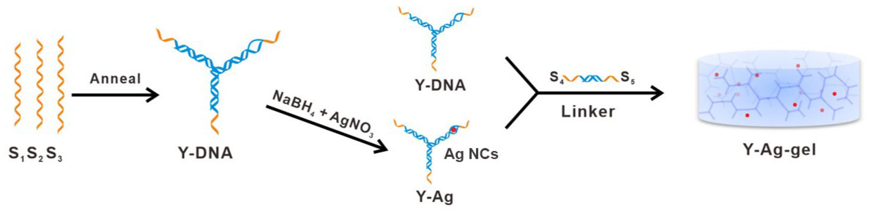 Chemistry 05 00160 g008