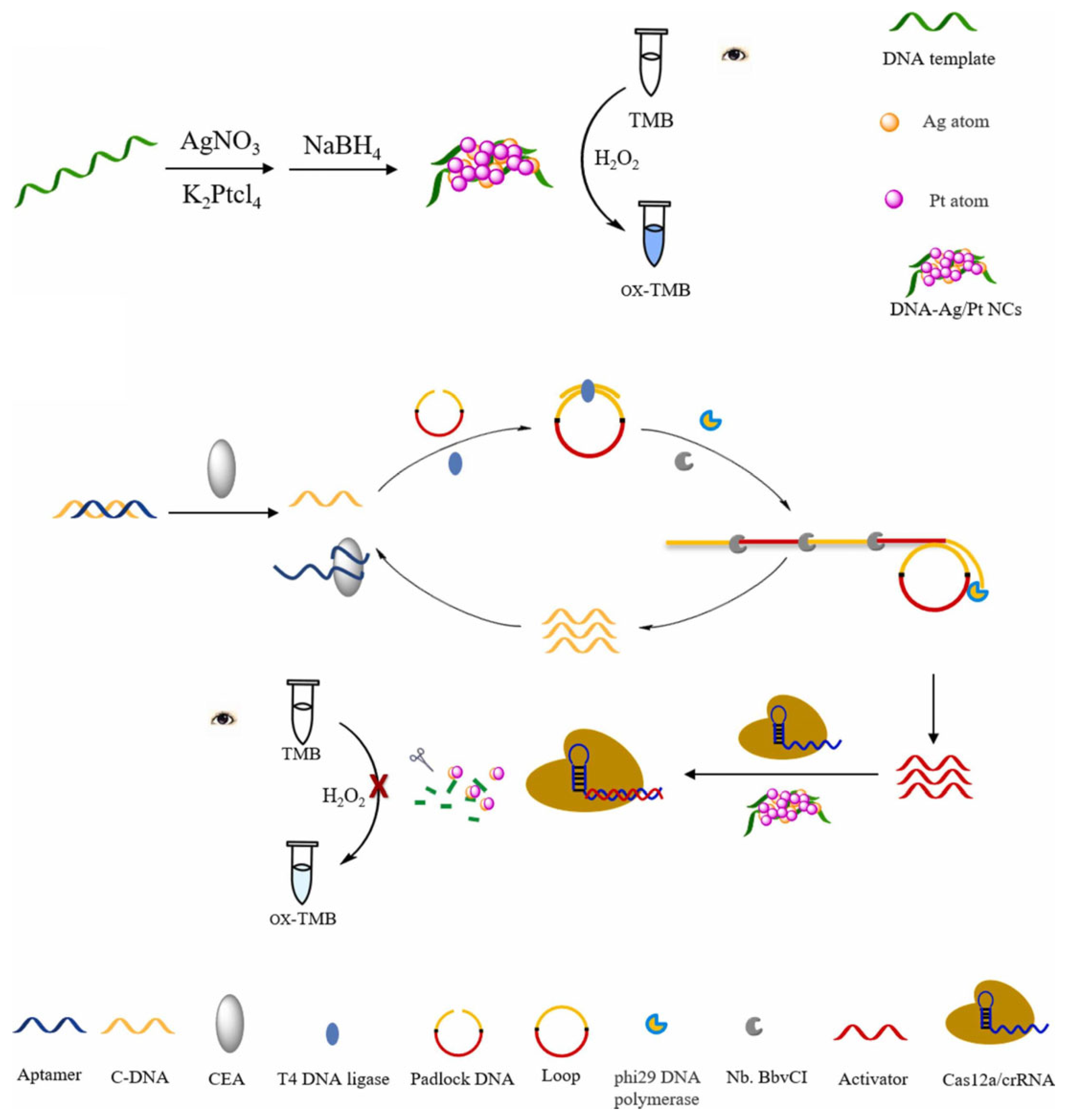 Chemistry 05 00160 g009