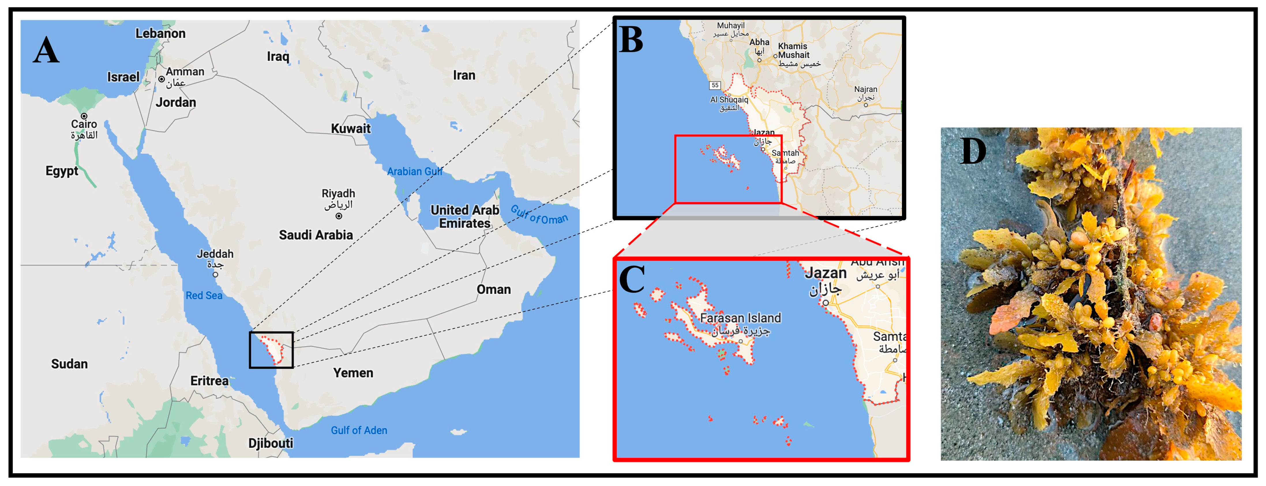 Chemistry 05 00176 g001