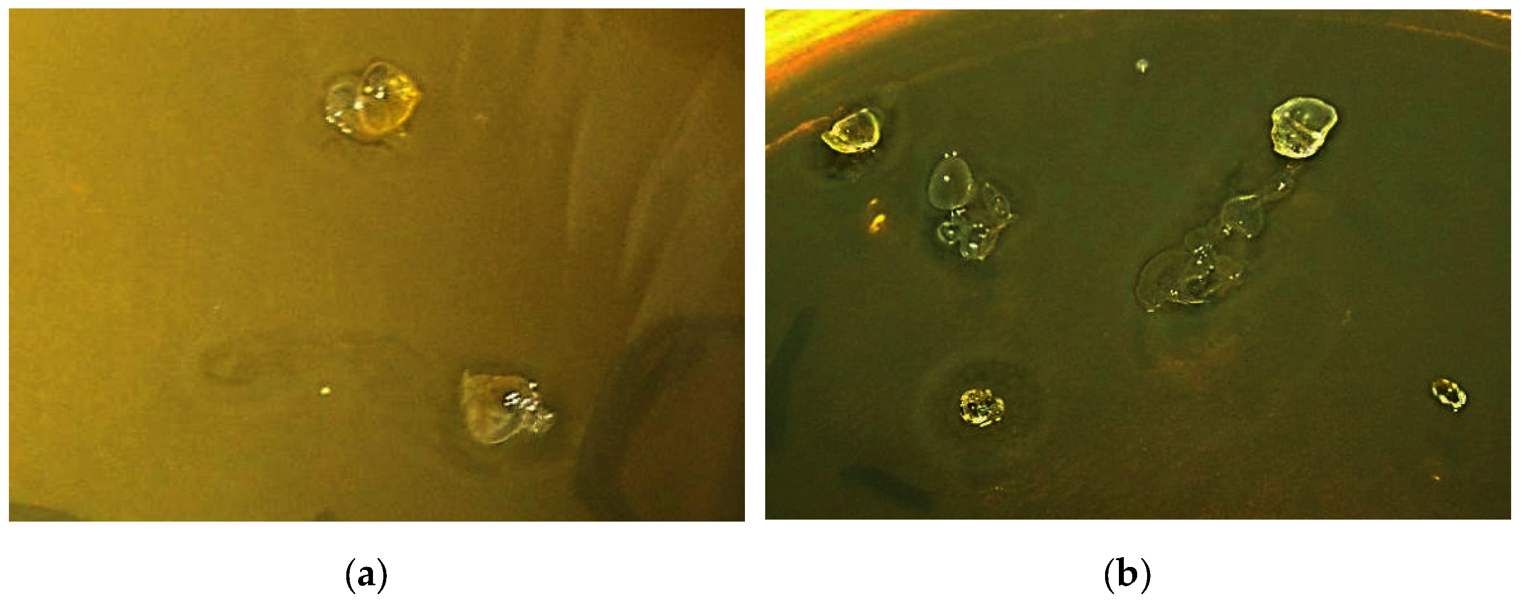 Chemistry 06 00001 g001