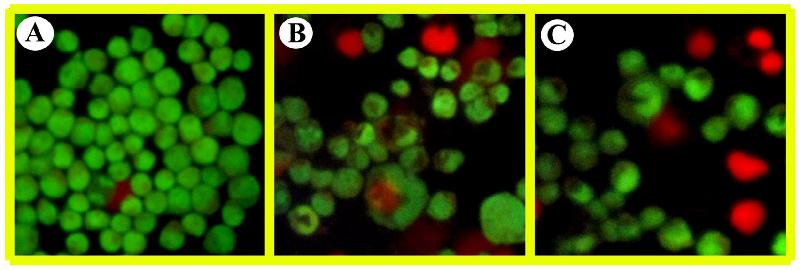 Chemistry 06 00008 g004