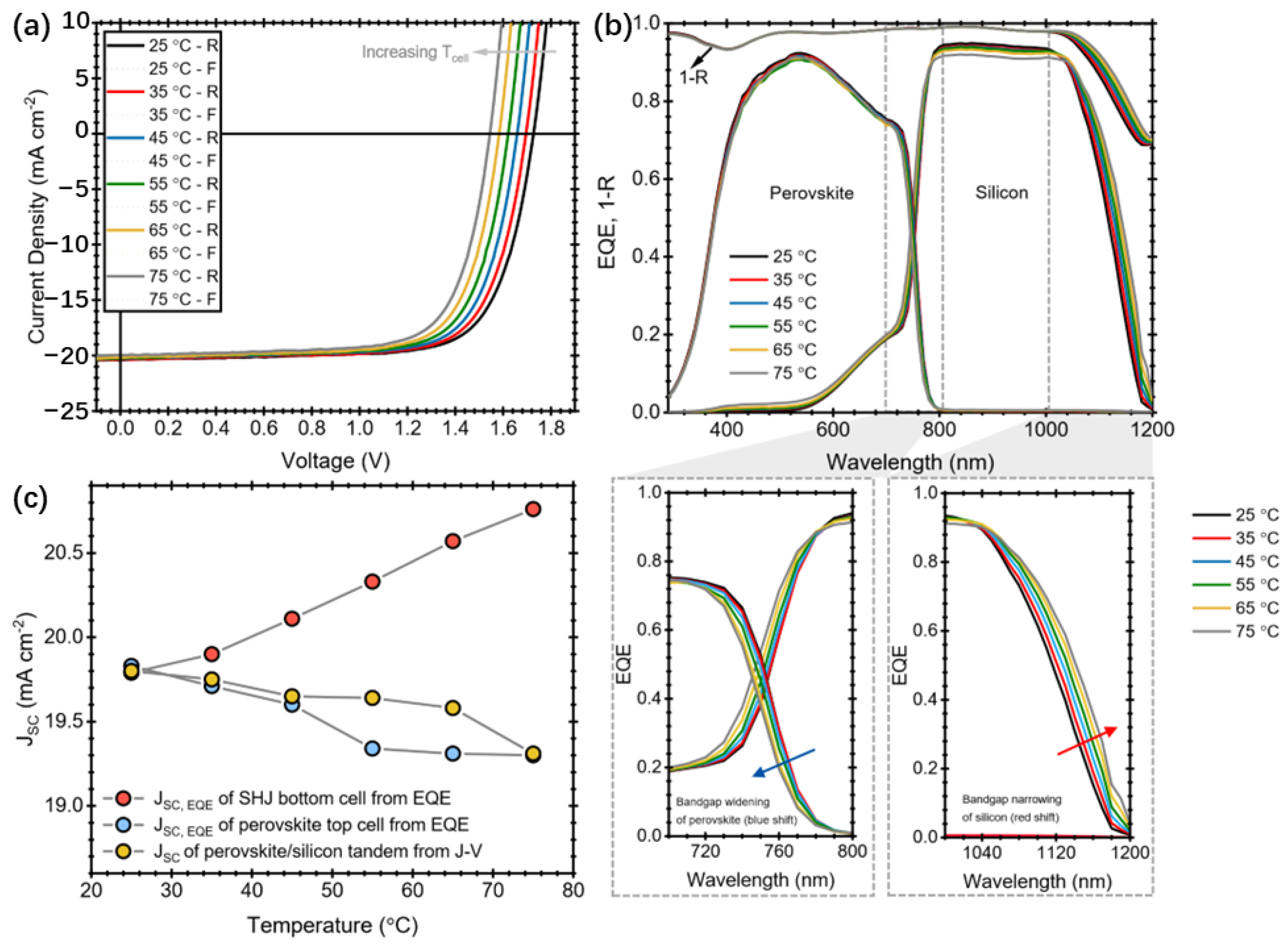 Chemistry 06 00010 g017