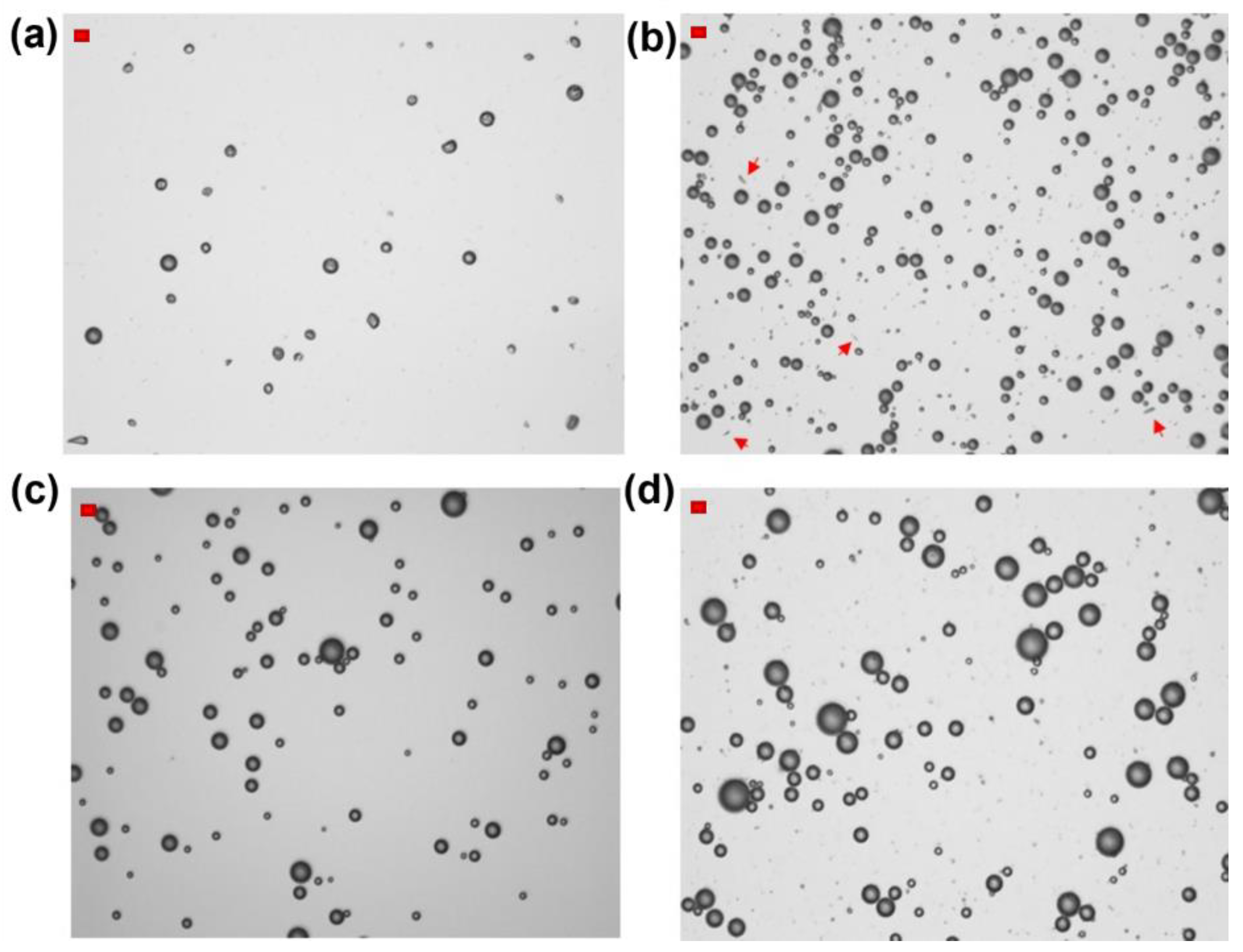 Chemistry 06 00016 g002