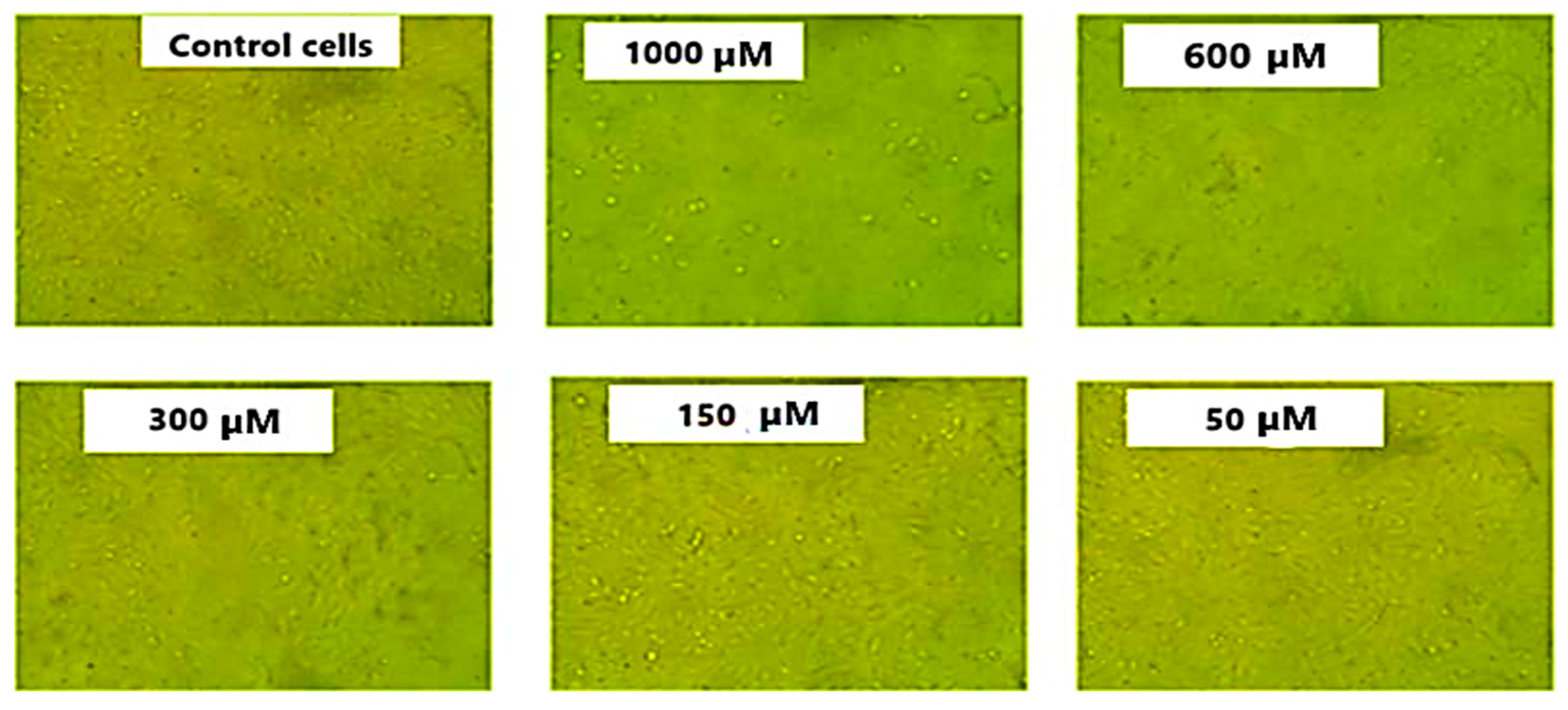 Chemistry 06 00025 g009