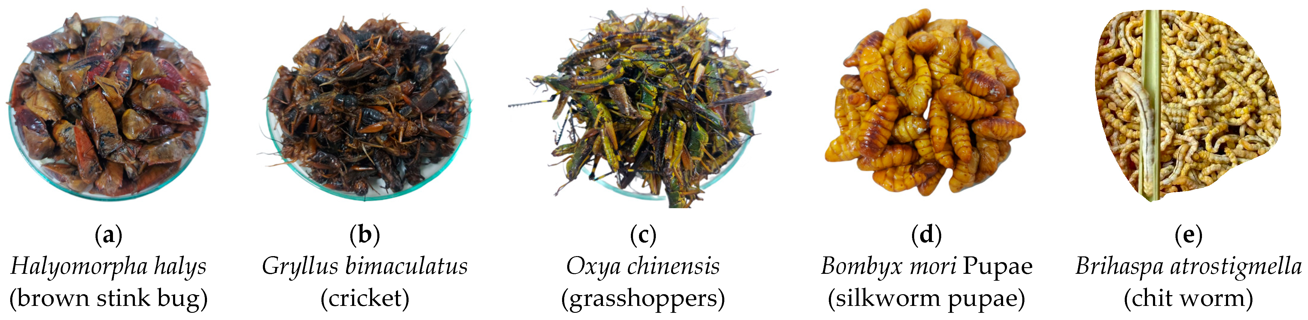 Chemistry 06 00030 g001